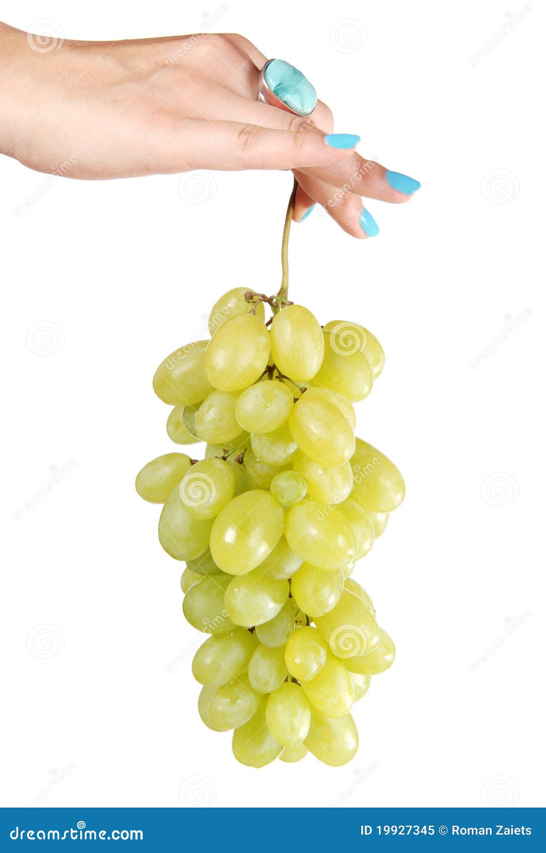 Hand and grape stock image. Image of vine, color, grape 19927345