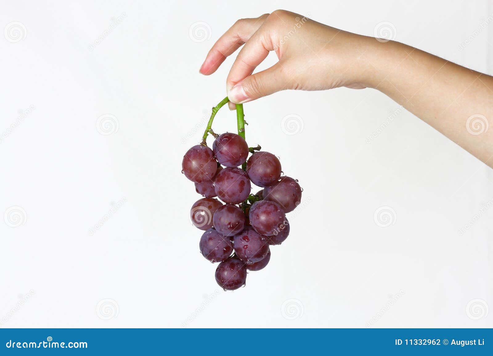 Hand with grapes stock photo. Image of natural, fresh 11332962