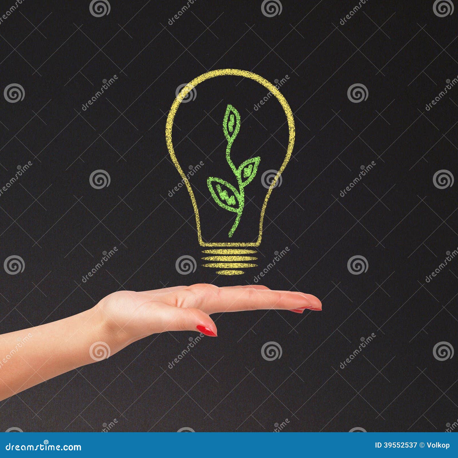 Hand Hold Bright Light Bulb with Board Stock Image Image of