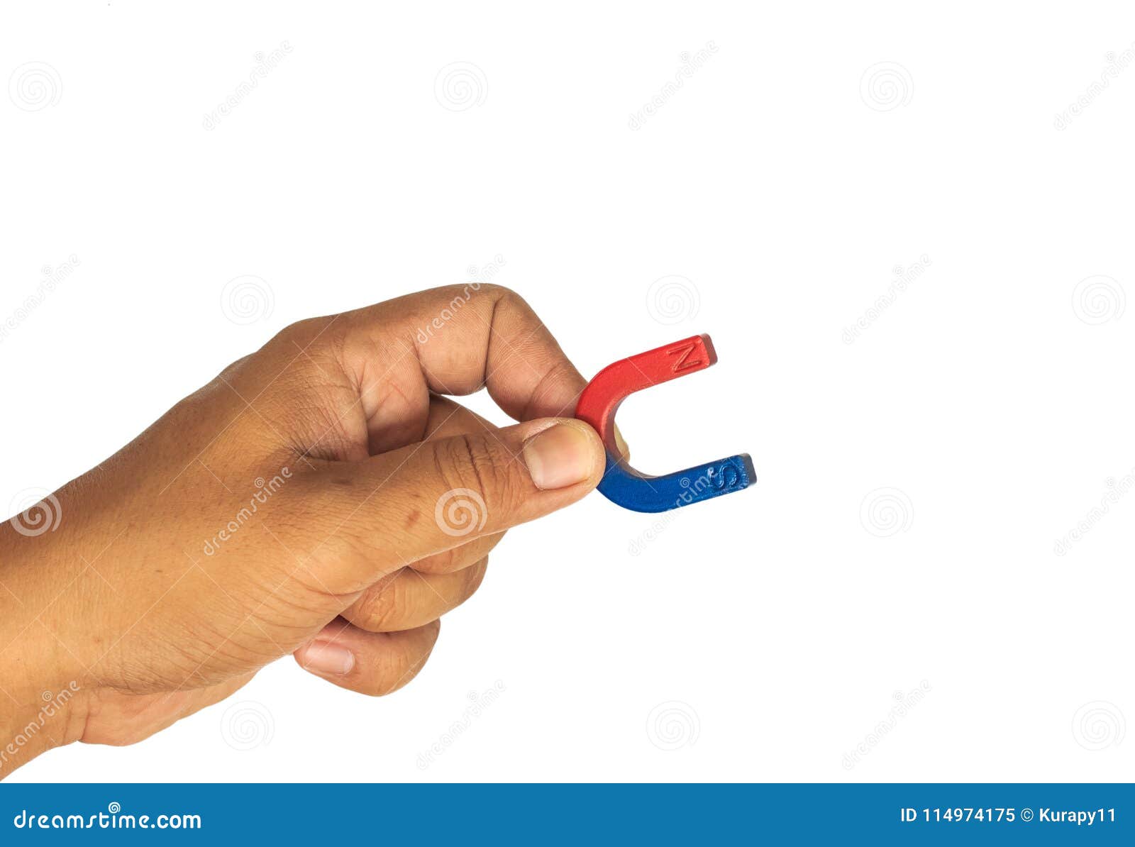 Hand hold on white. stock image. Image of suck 114974175
