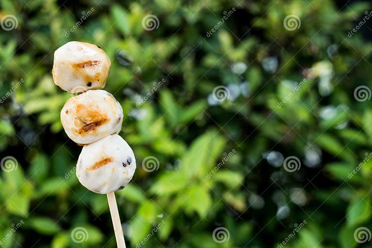 Hand Hold a Meat Ball Squid Stick Stock Image - Image of ball, menu