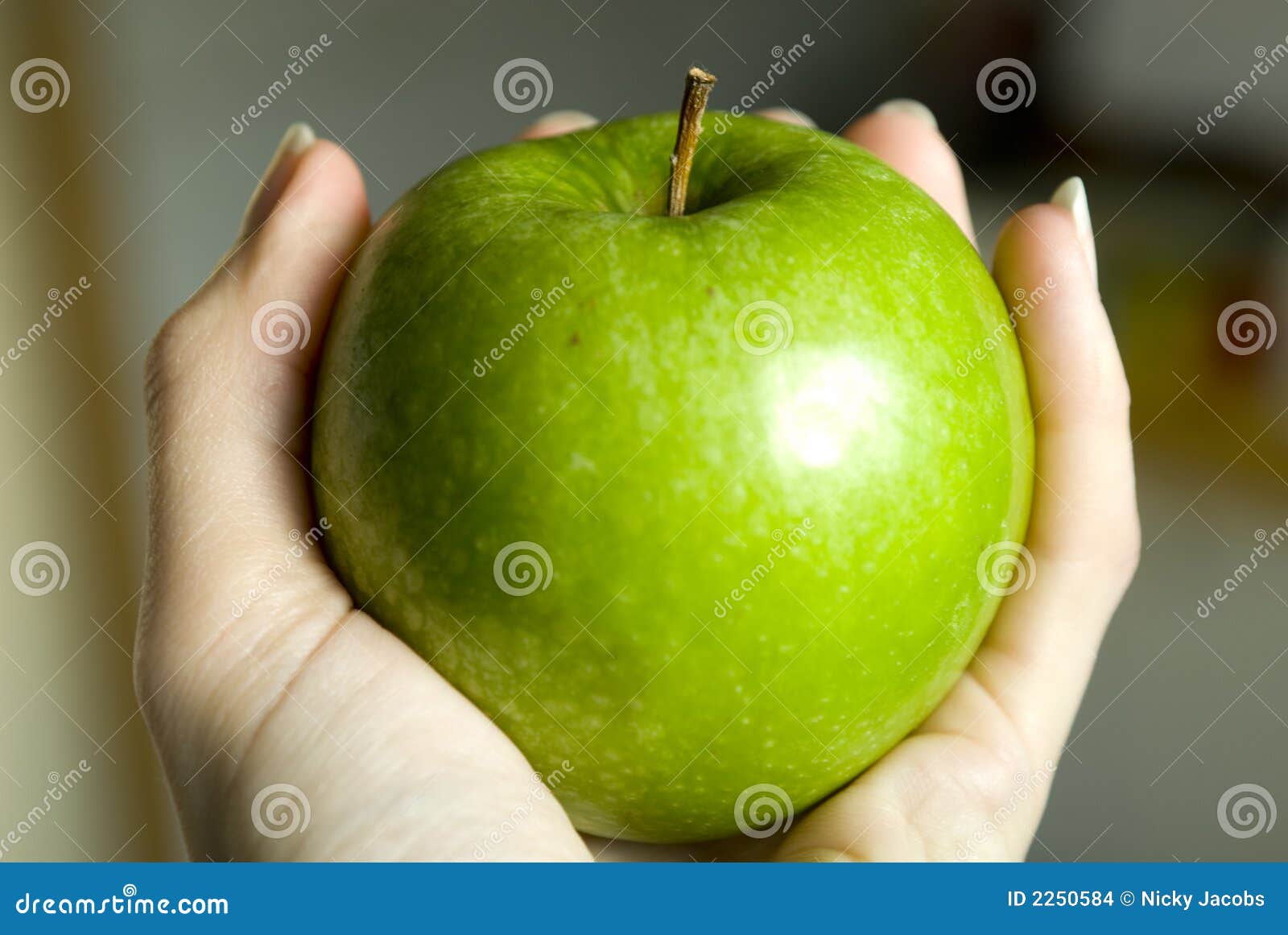Hand holding apple stock photo. Image of delicious, juicy 2250584
