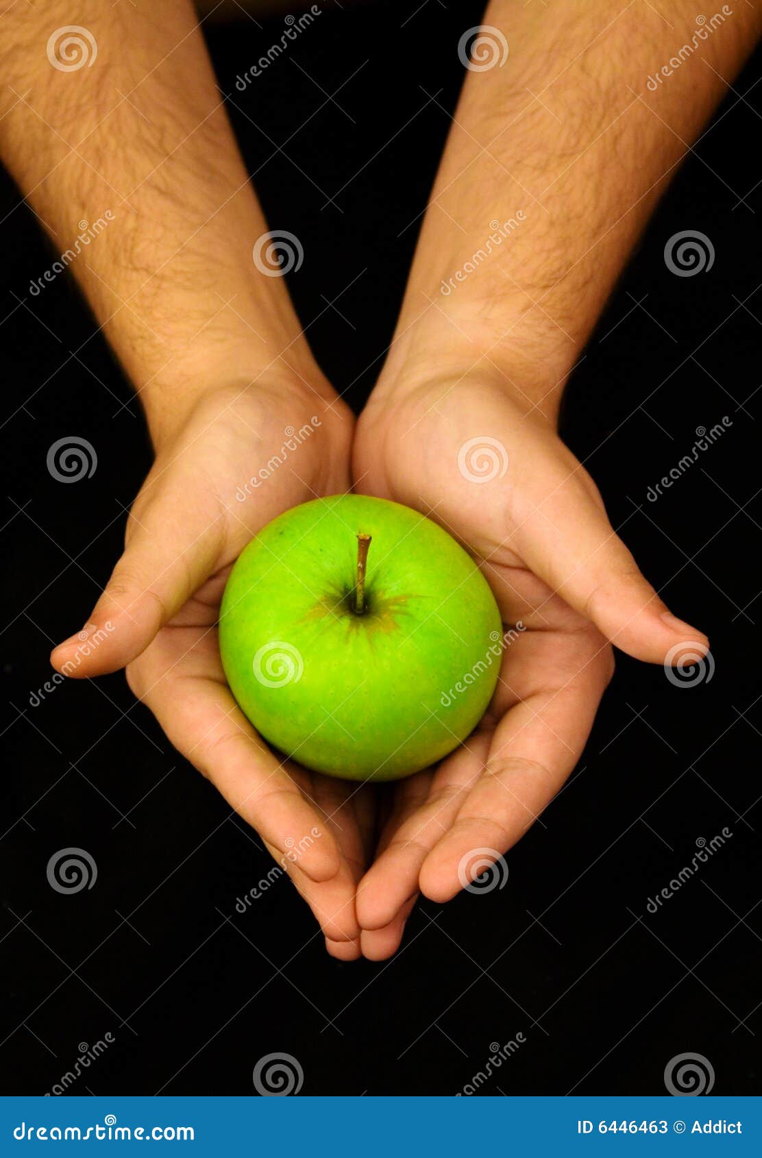 Hand holding apple stock image. Image of people, healthful 6446463