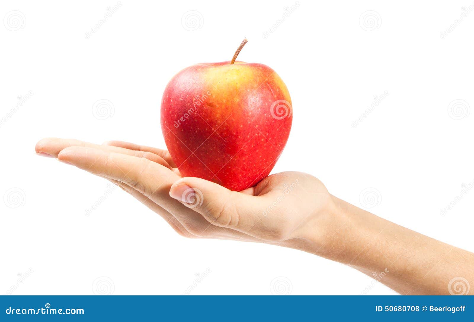 Hand holding apple stock photo. Image of garden, nature 50680708