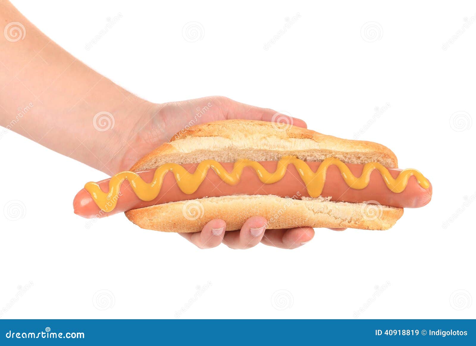 Hand holding big hot dog. stock image. Image of ketchup 40918819