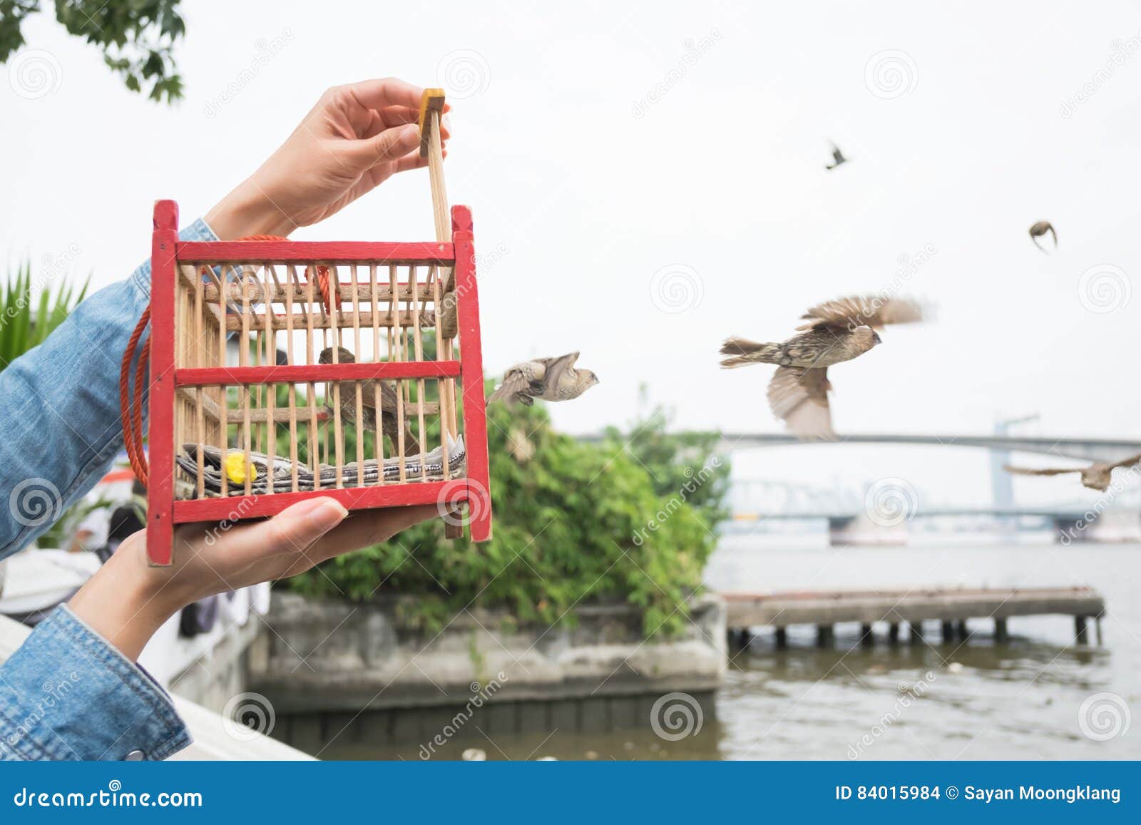 hand holding a bird cage for liberation.