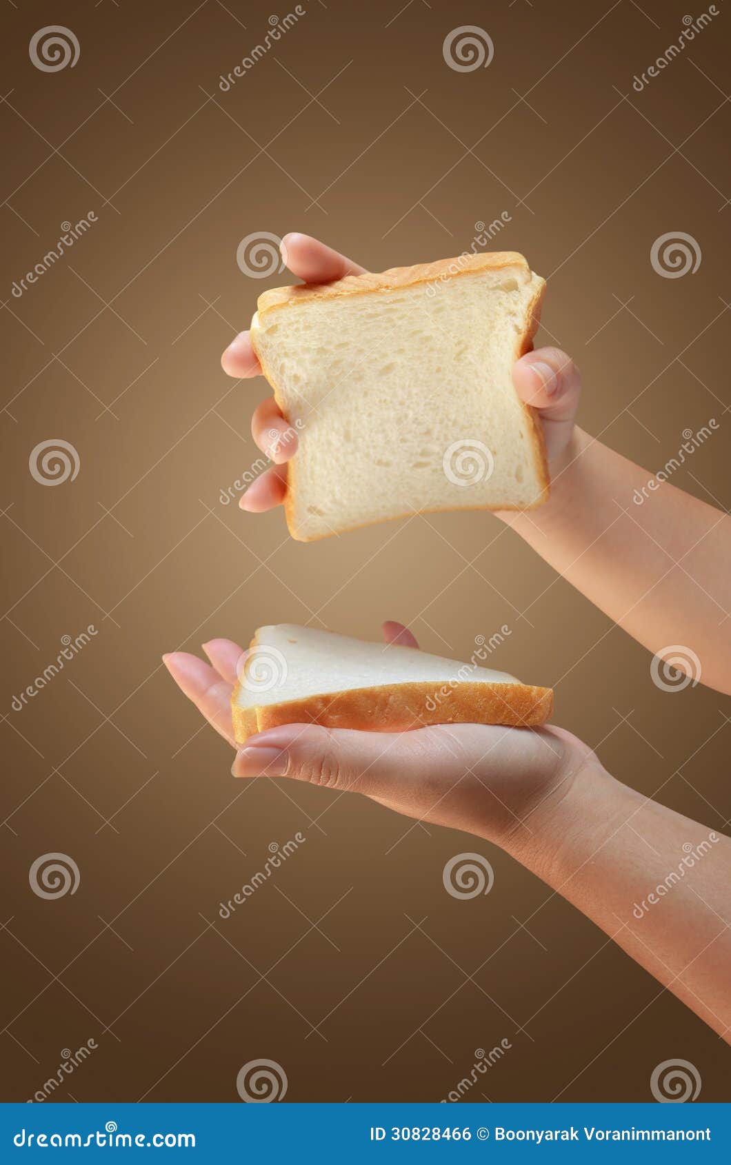 Hand holding bread stock photo. Image of taste, baker 30828466