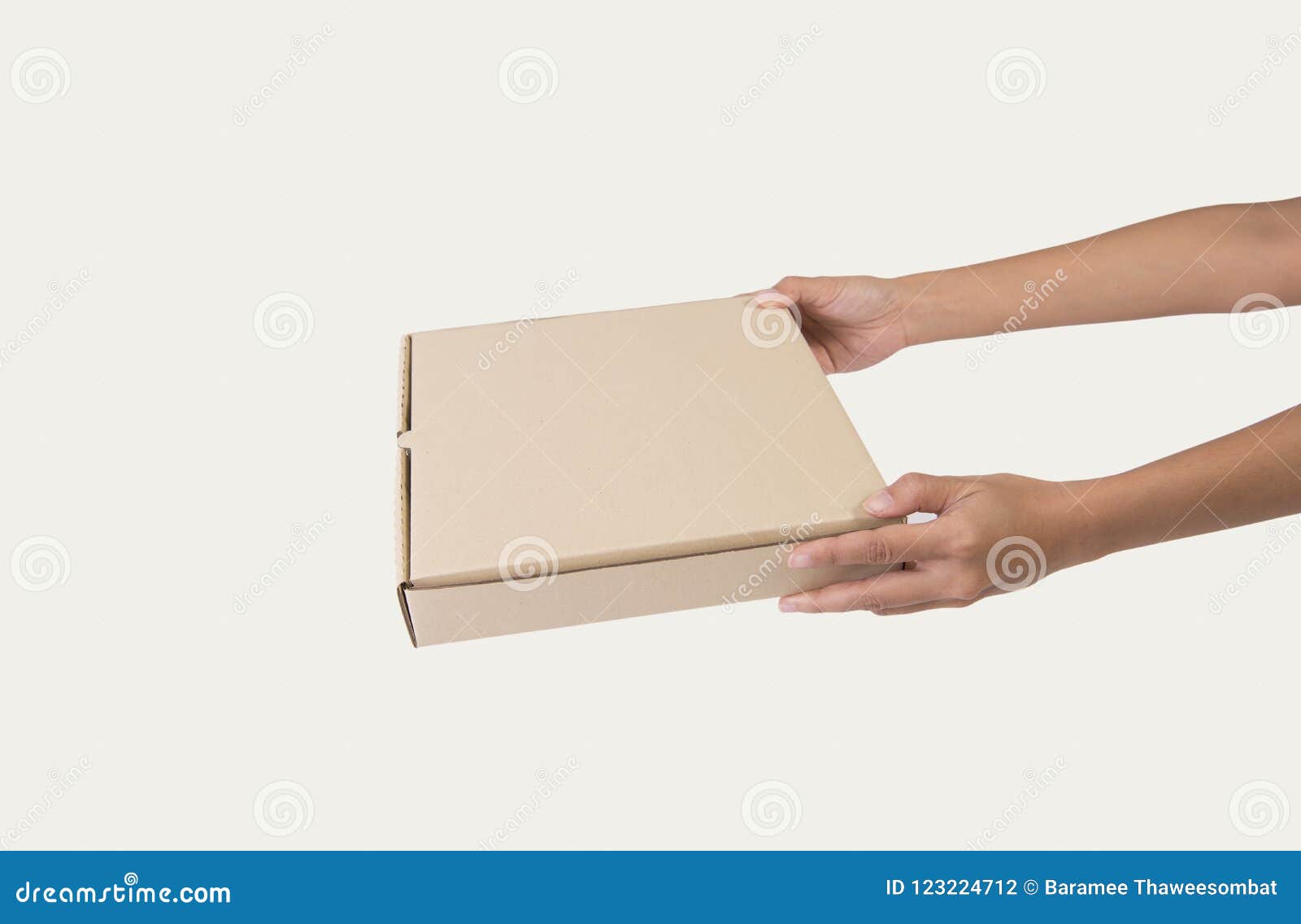 Download Hand Holding Cardboard Brown Paper Box For Pizza Mockup Branding Stock Photo Image Of Mockup Package 123224712