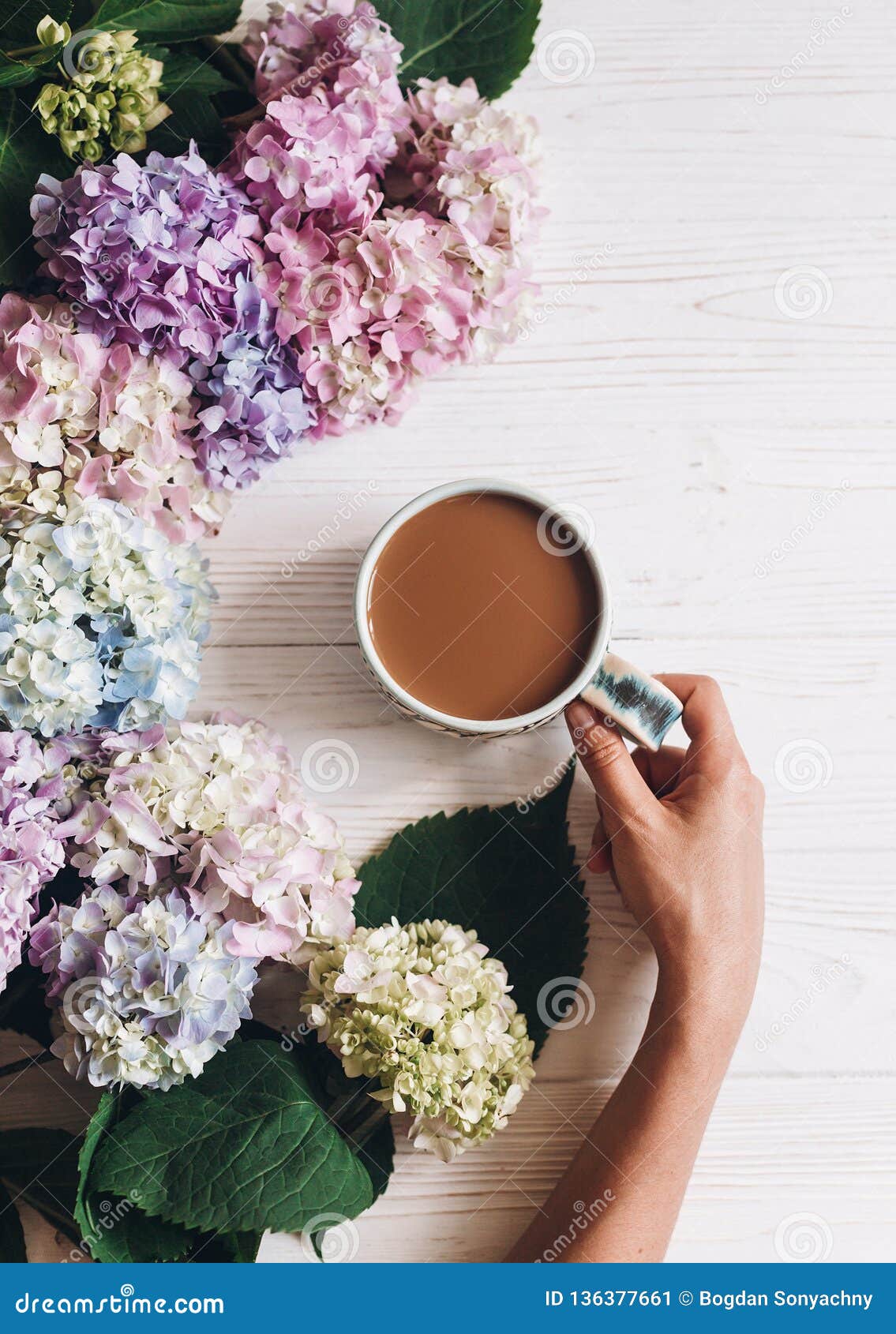 https://thumbs.dreamstime.com/z/hand-holding-coffee-cup-beautiful-hydrangea-flowers-rustic-white-wood-flat-lay-good-morning-concept-colorful-pink-blue-hand-136377661.jpg