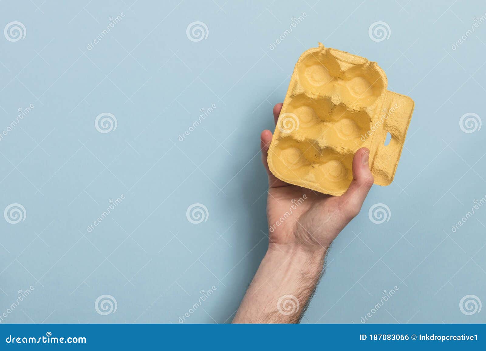 Hand Holding Empty Egg Box Recycling Rubbish Stock Photo Image of