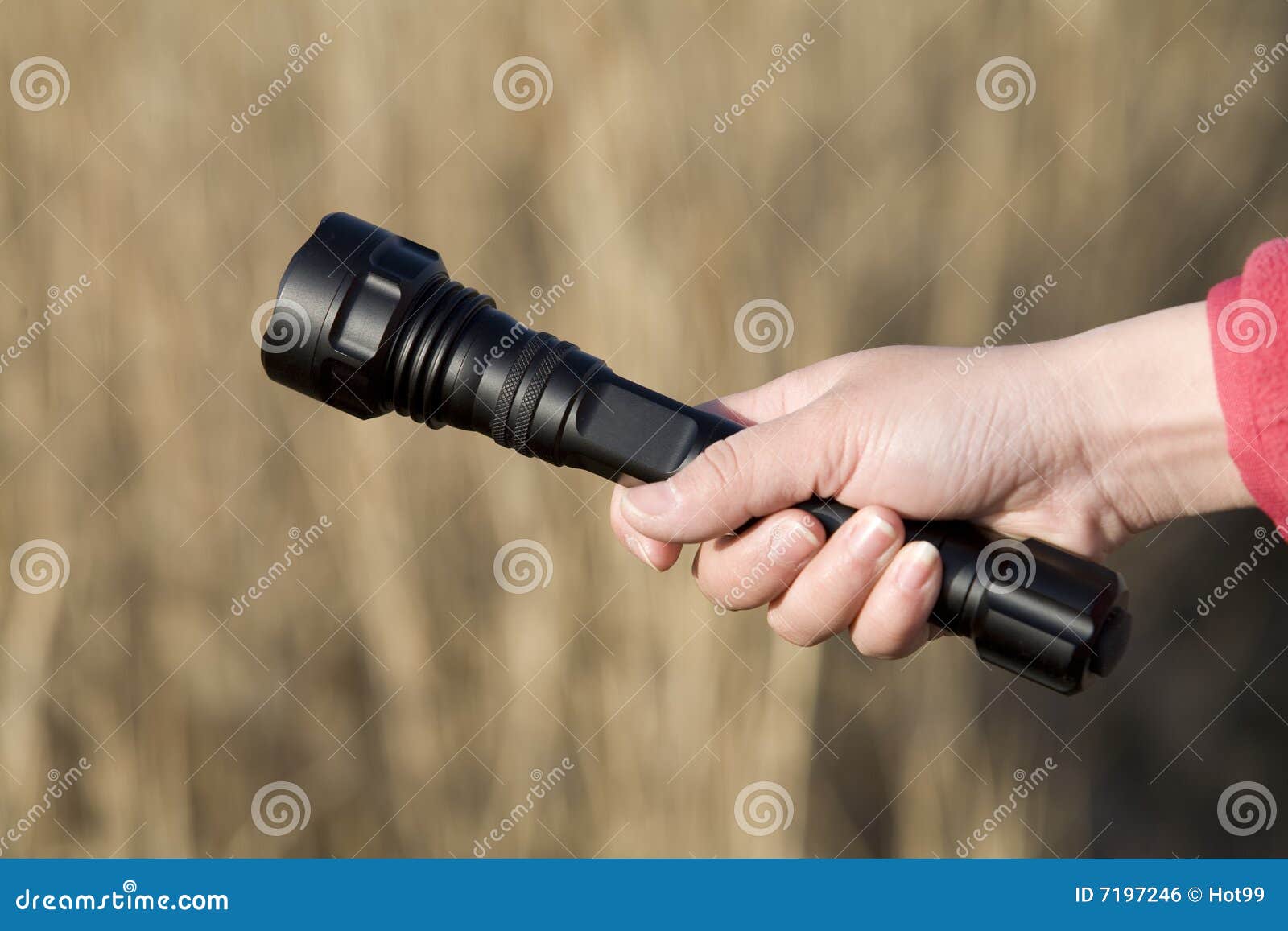 Hand holding a flashlight stock photo. Image of enforcement 7197246