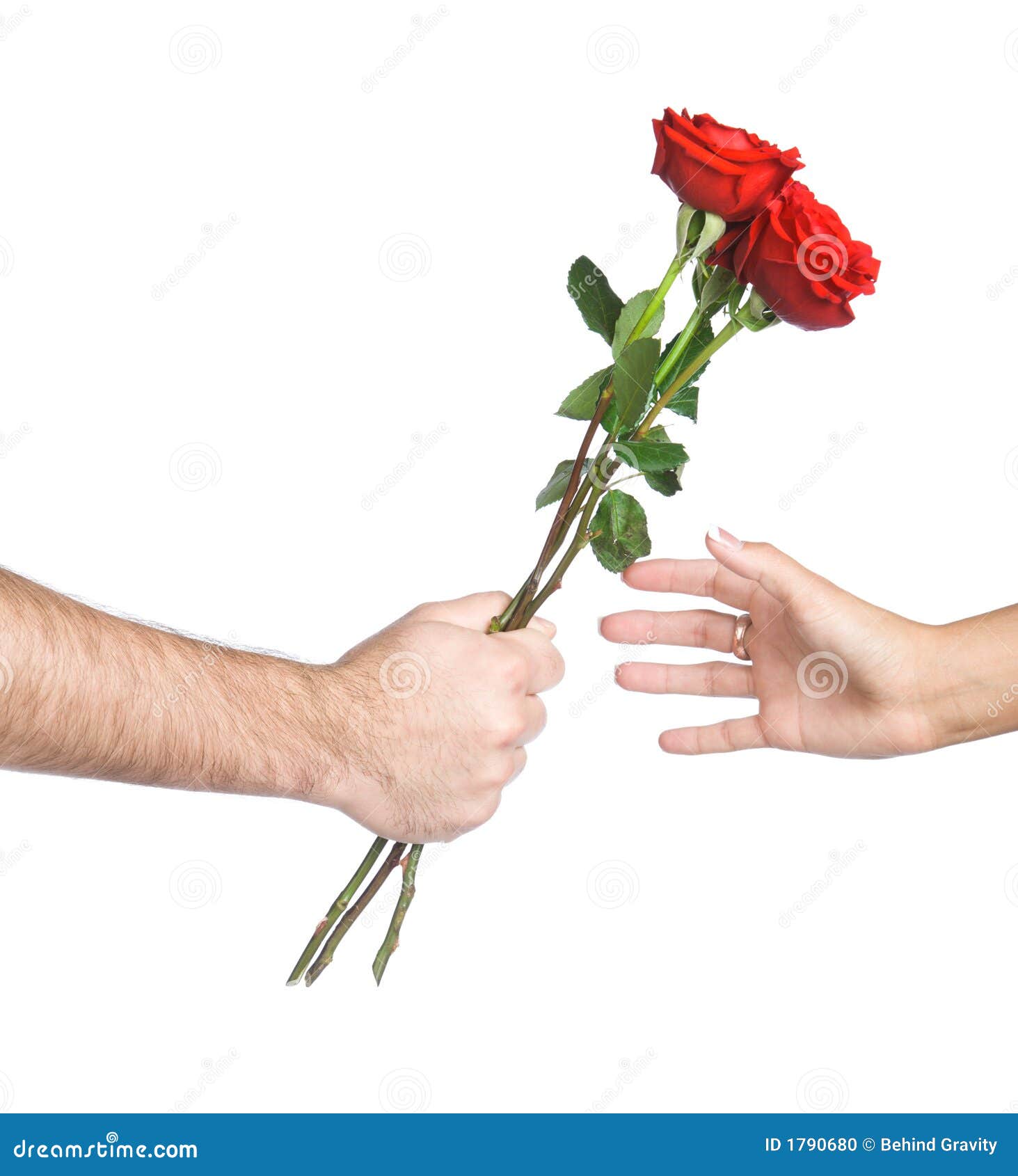 clipart hand holding flower - photo #39