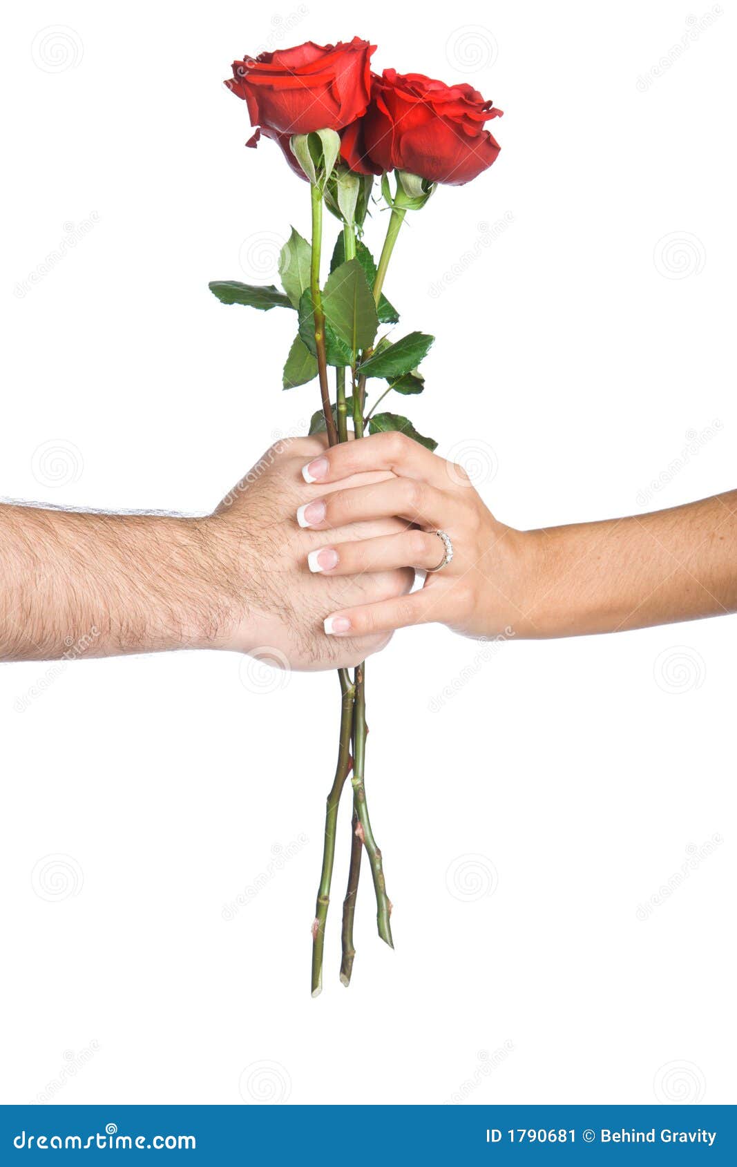 Hand Holding Flowers stock image. Image of affection, hand 1790681