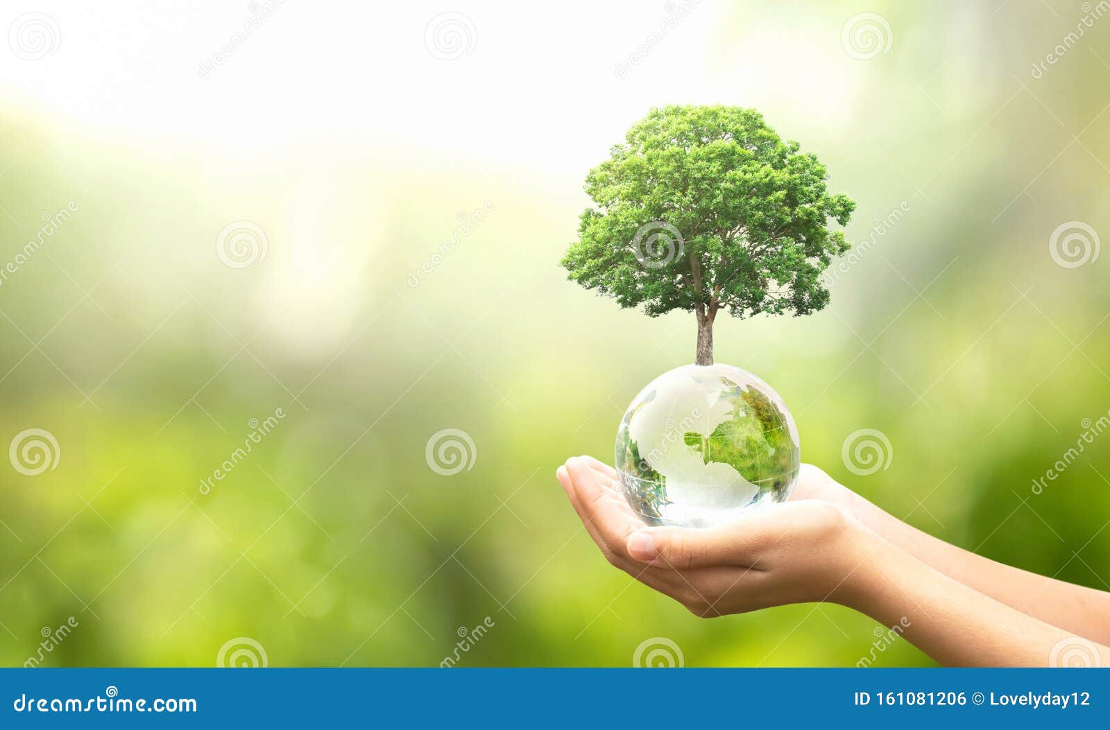 13,455,113 Green Nature Photos Free & Royalty-Free Stock Dreamstime