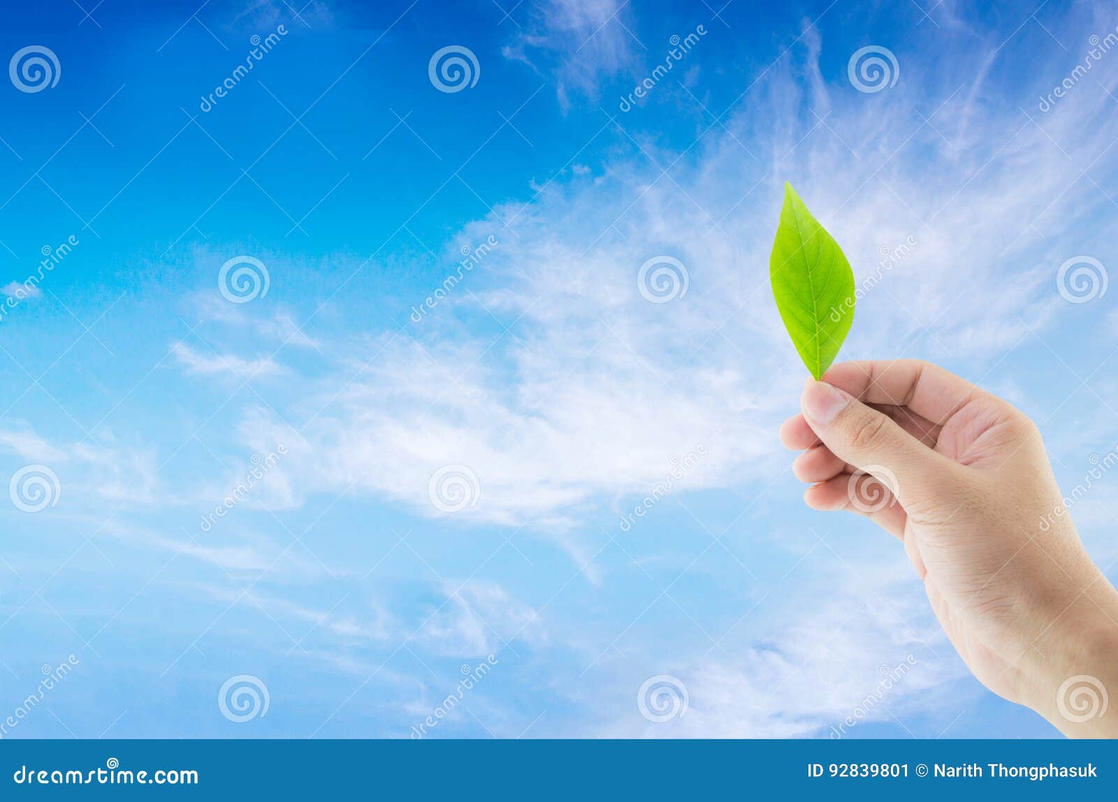 Hand Holding Green Leaf on Sky Background. Stock Image - Image of hand