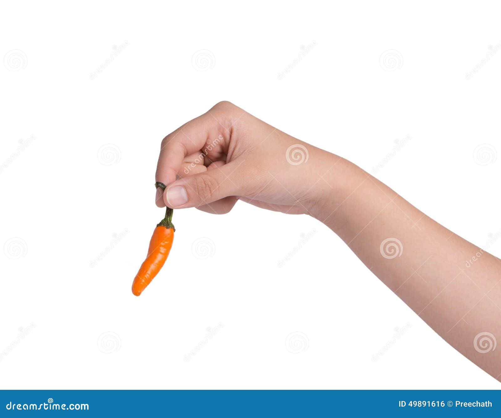 Hand Holding Hot Chili Pepper Stock Photo Image of cayenne, eating
