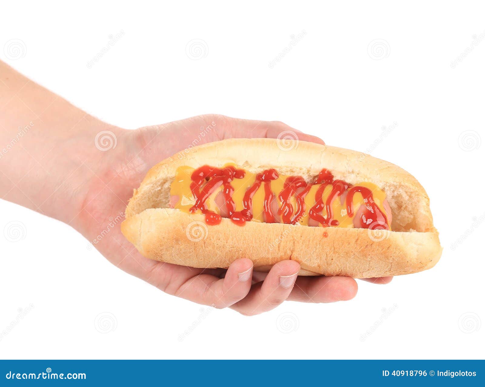 Hand holding hot dog. stock photo. Image of barbecue 40918796