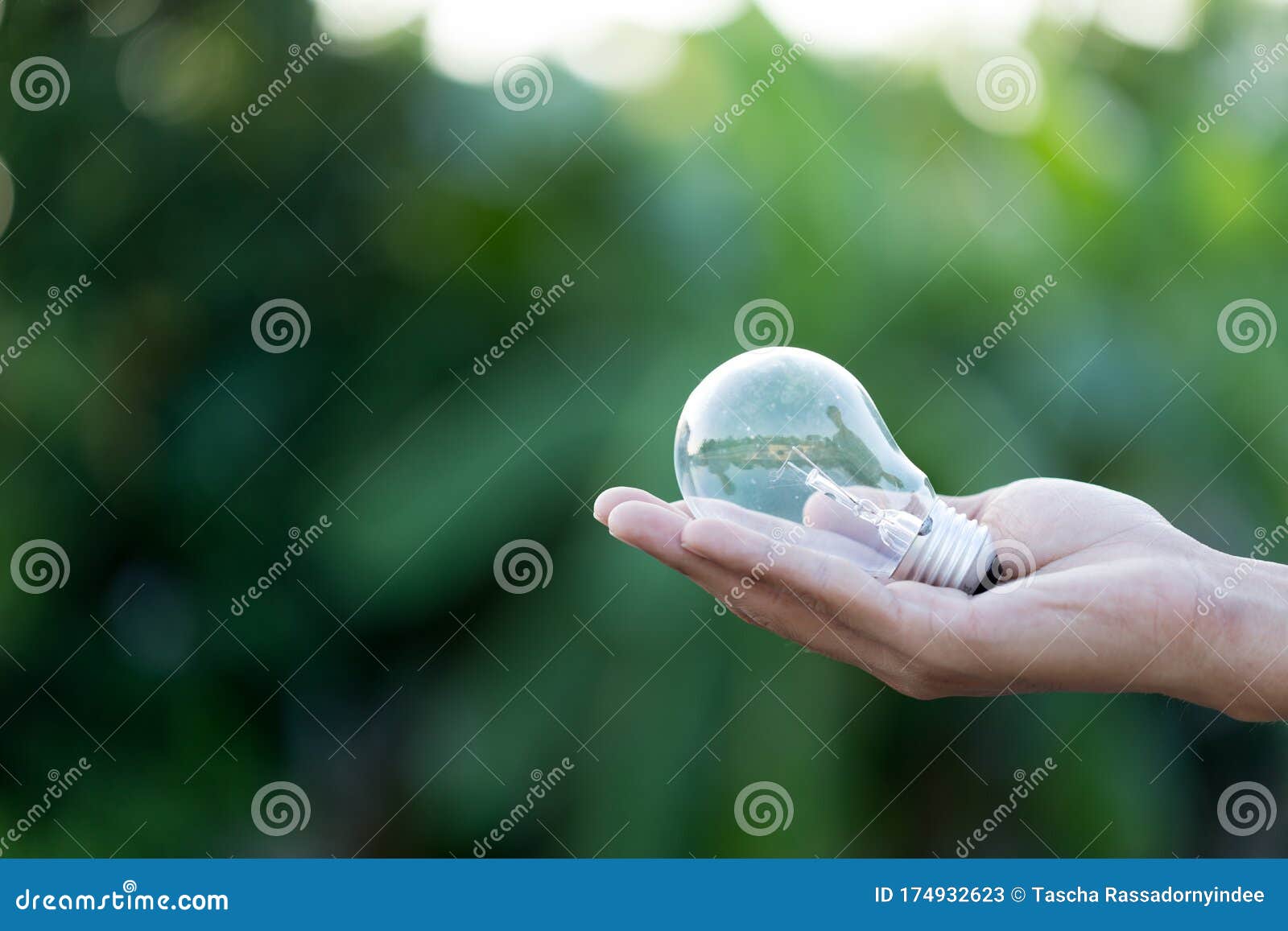 Hand holding light bulb,energy sources for renewable,natural energy concept,Eco concept - Lightbulb in green nature in bright light