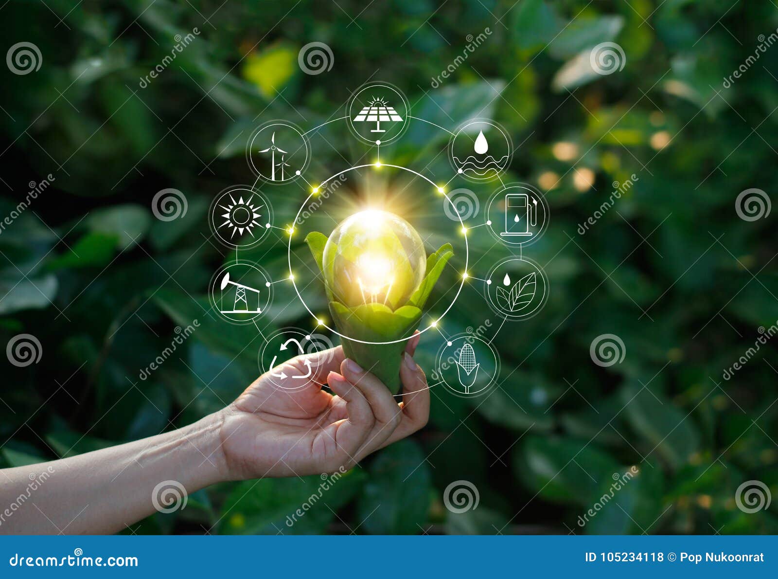 hand holding light bulb on green nature with icons