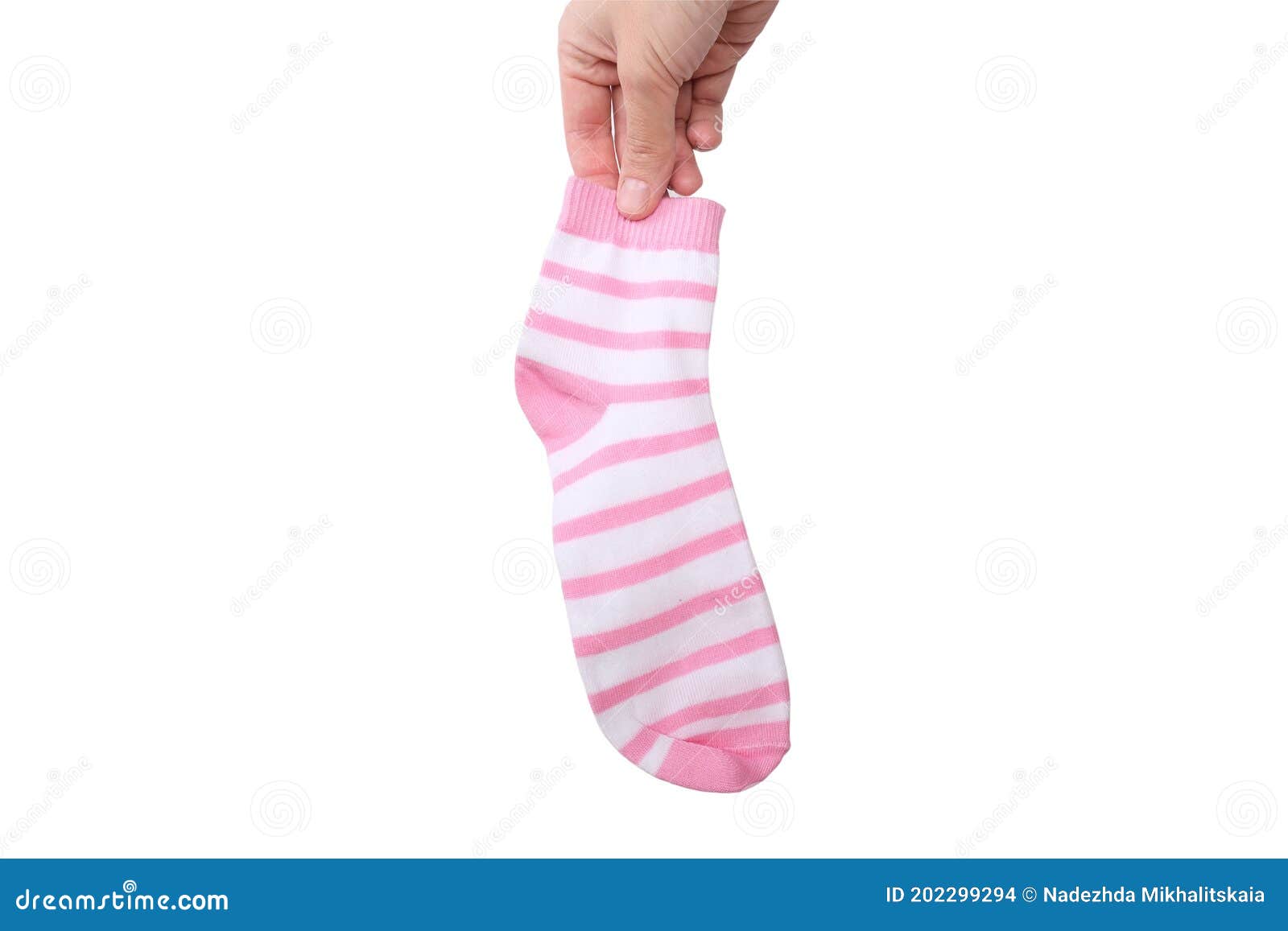 A Hand Holding One Pink and White Striped Cotton Organic Sock Isolated ...