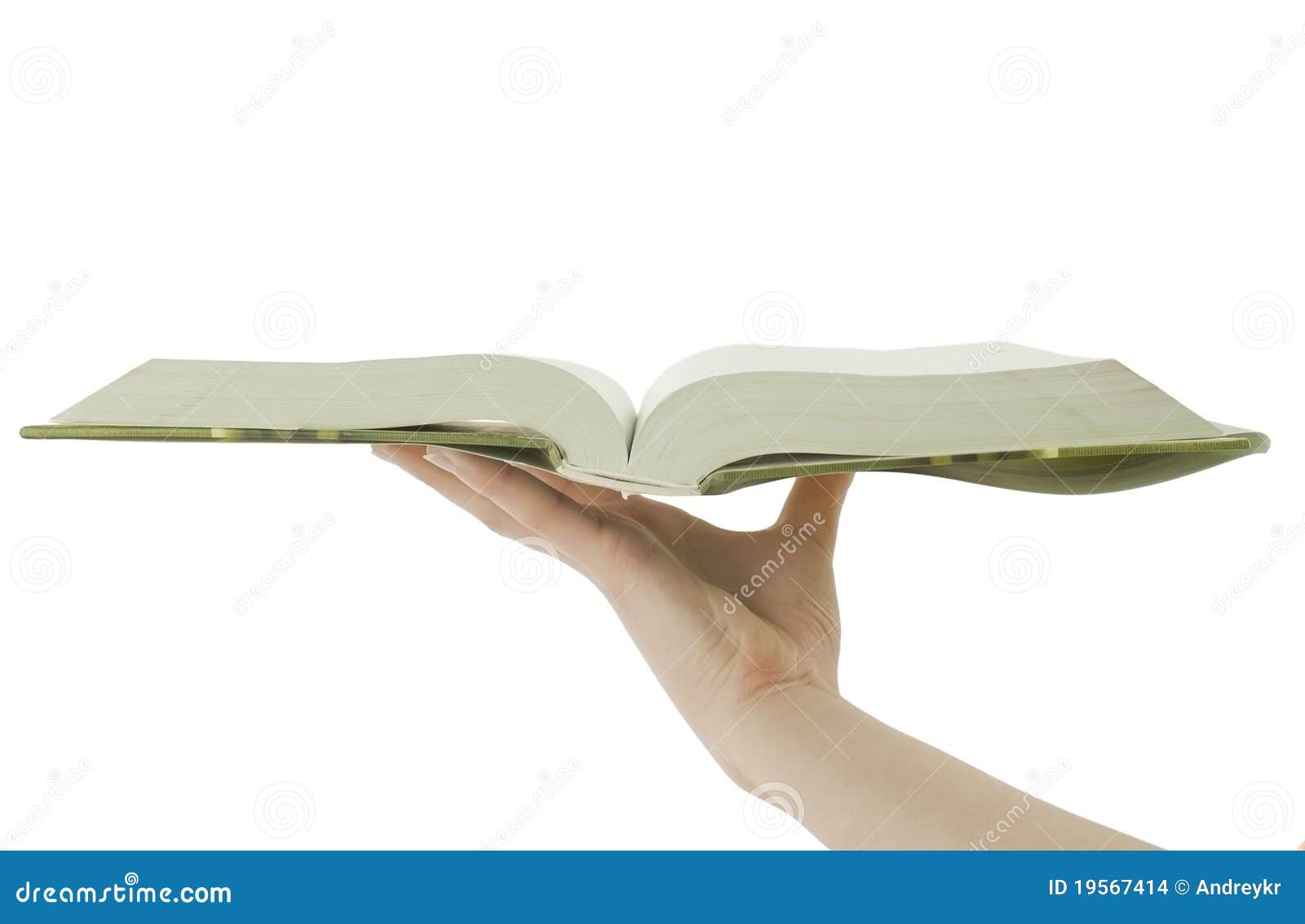Hand holding open book stock photo. Image of isolated 19567414