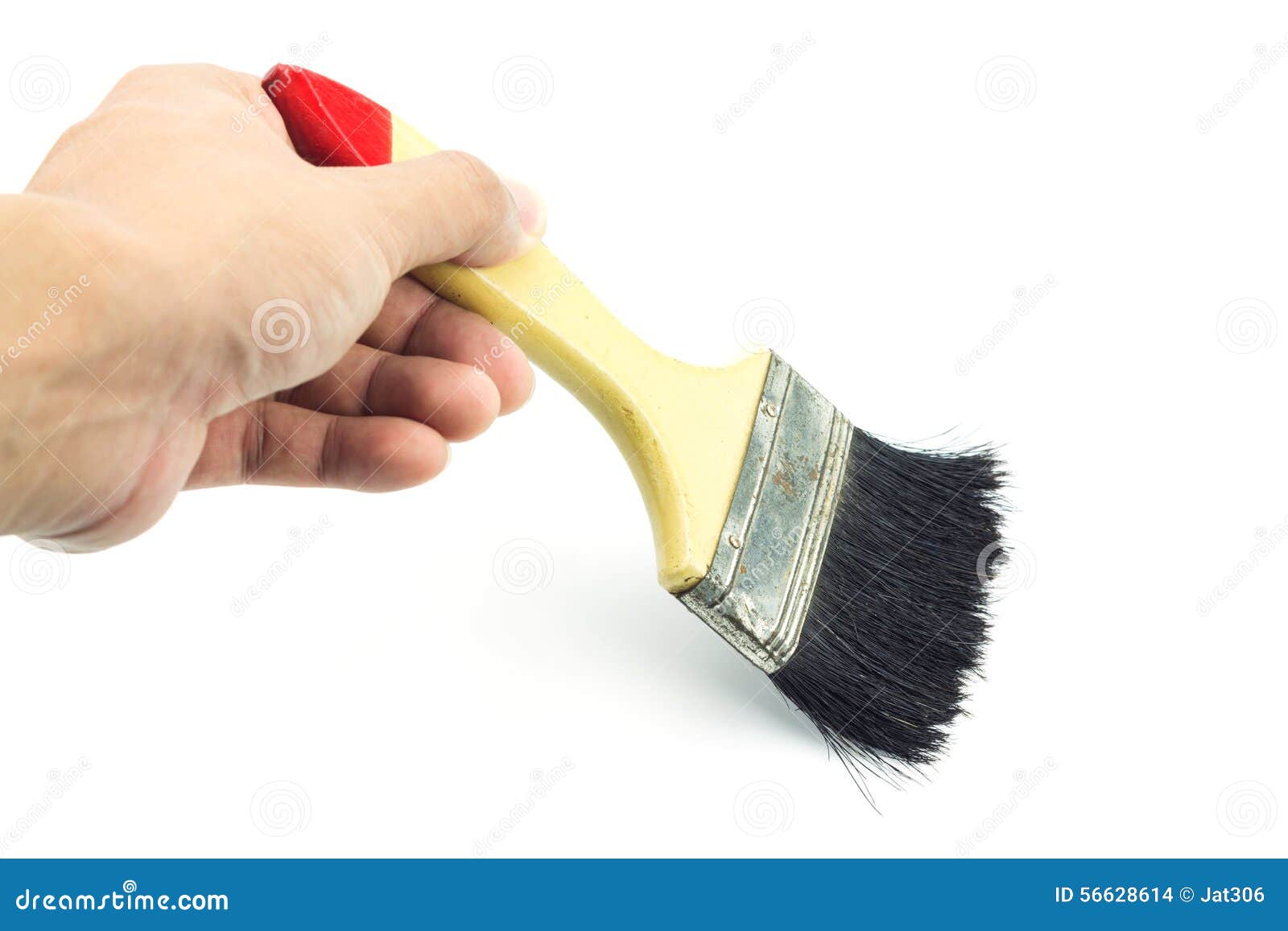 Hand Holding Paint Brush on White Background Stock Photo Image of