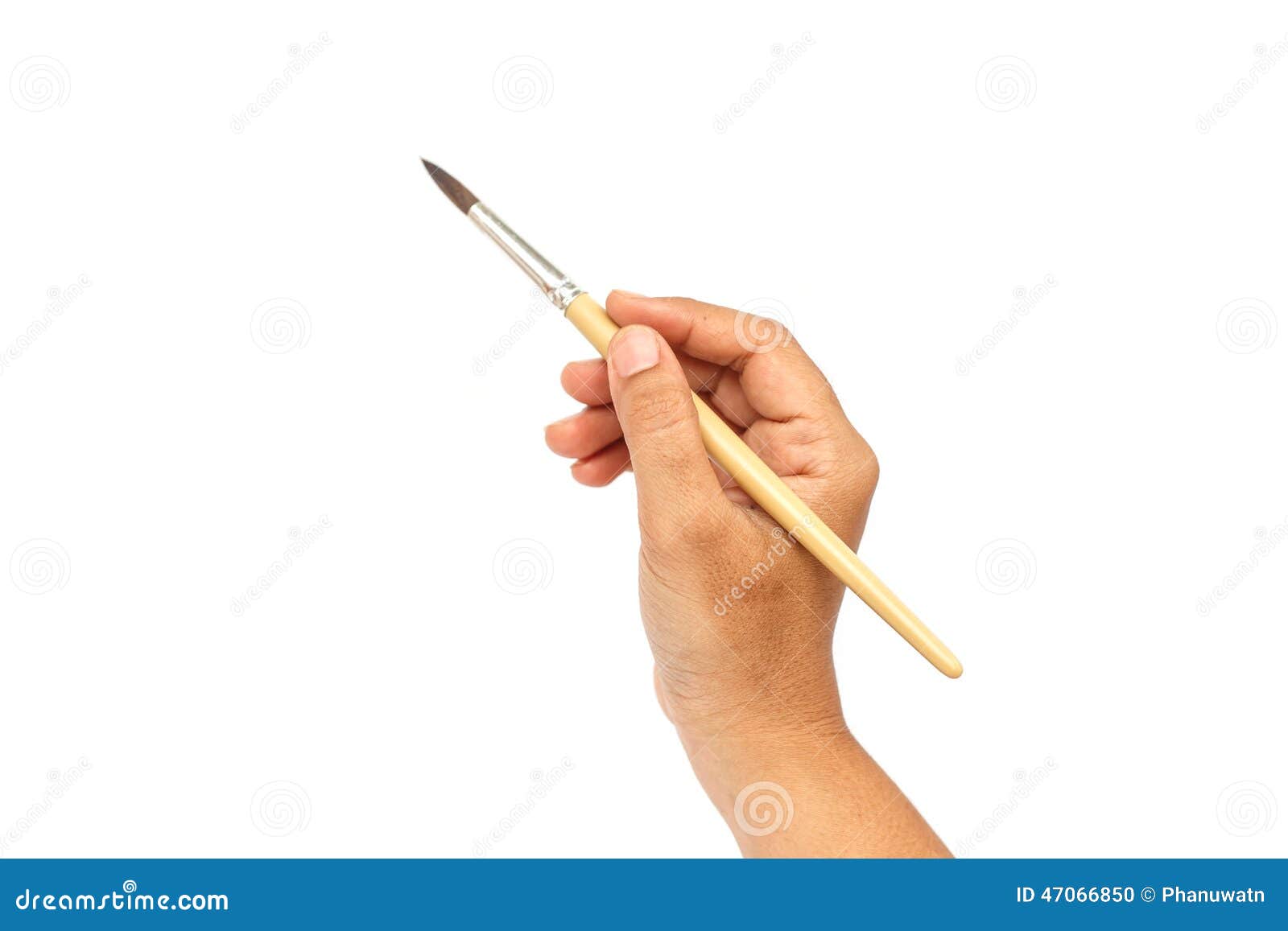 Hand Holding Paintbrush Isolated on White Background Stock Photo