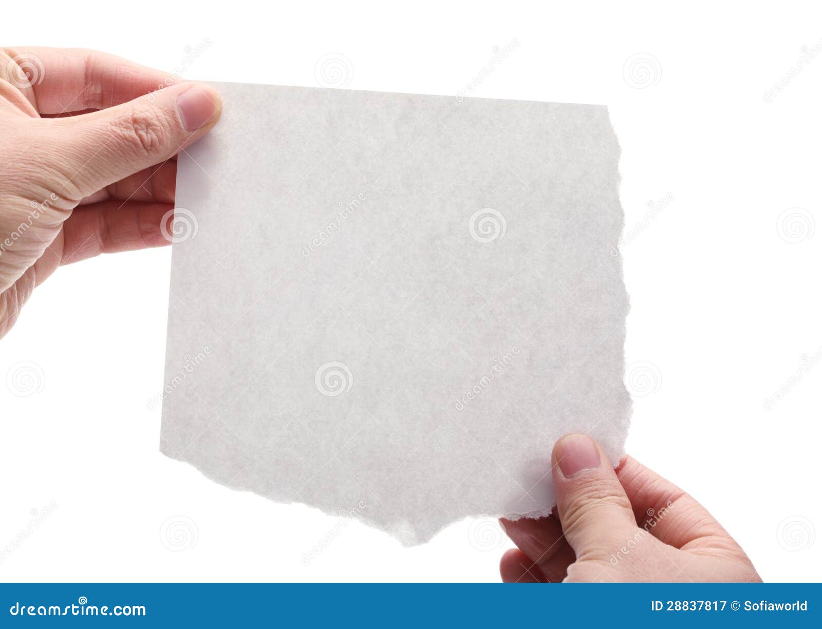 Hand Holding A Piece Of Blank Paper Royalty Free Stock Photography Image 28837817