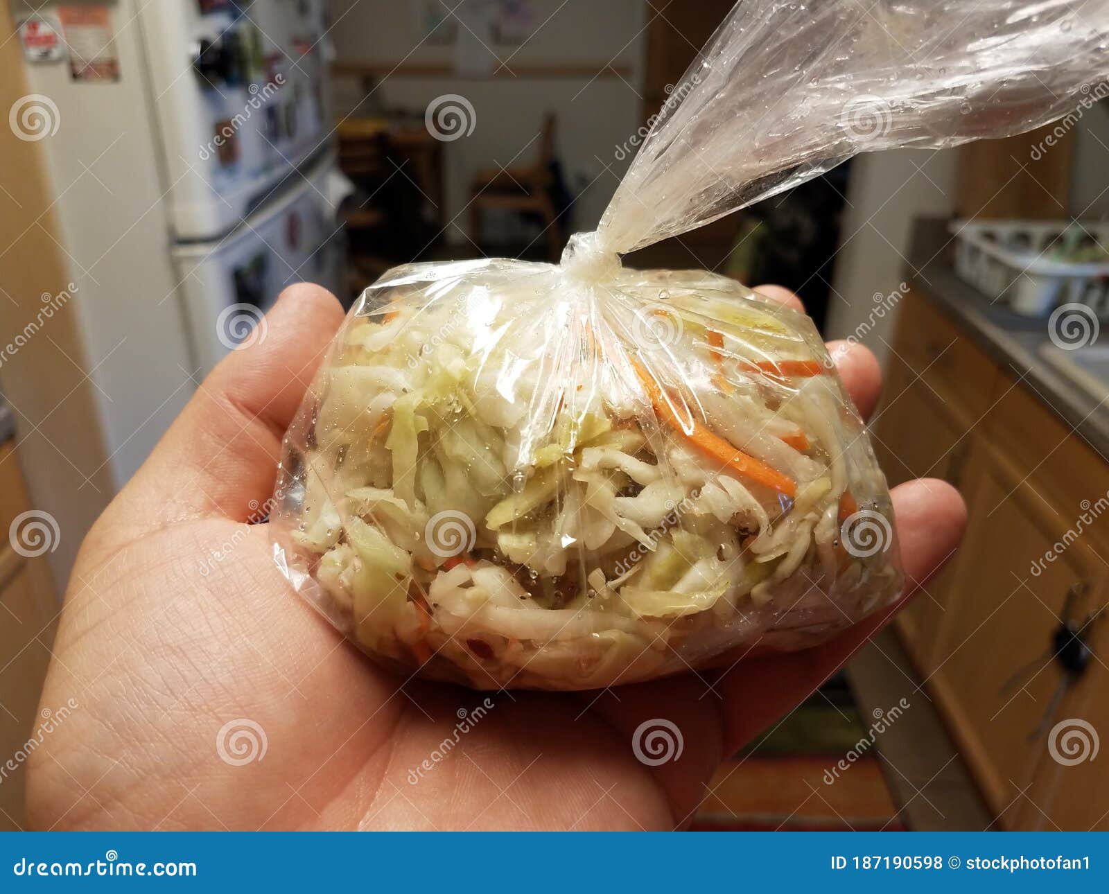 Hand Holding Plastic Bag of Cabbage in Kitchen Stock Photo Image of plastic, hand 187190598