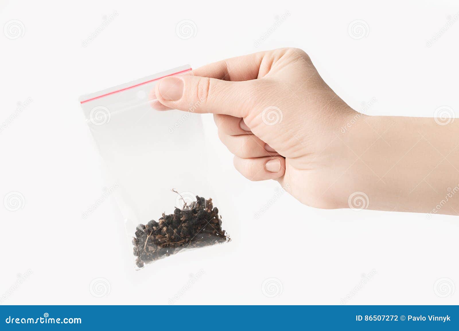 Download Hand Holding Plastic Transparent Zipper Bag With Home Dry Currant Isolated On White, Vacuum ...