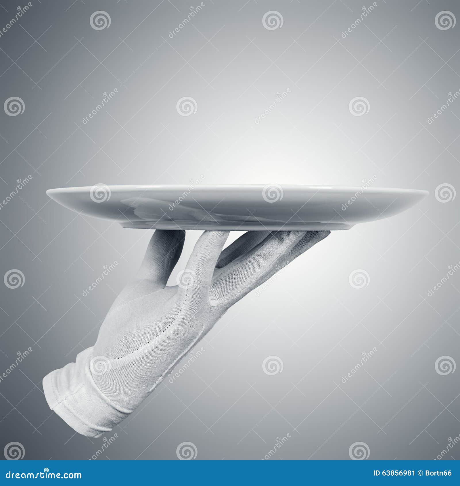 Hand holding plate stock image. Image of platter, utensil 63856981