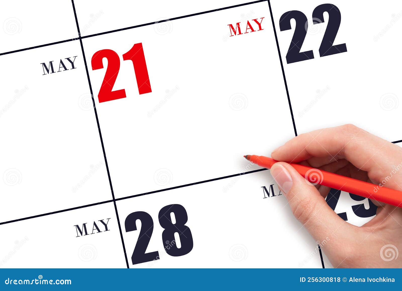 A Hand Holding a Red Pen and Pointing on the Calendar Date May 21. Red