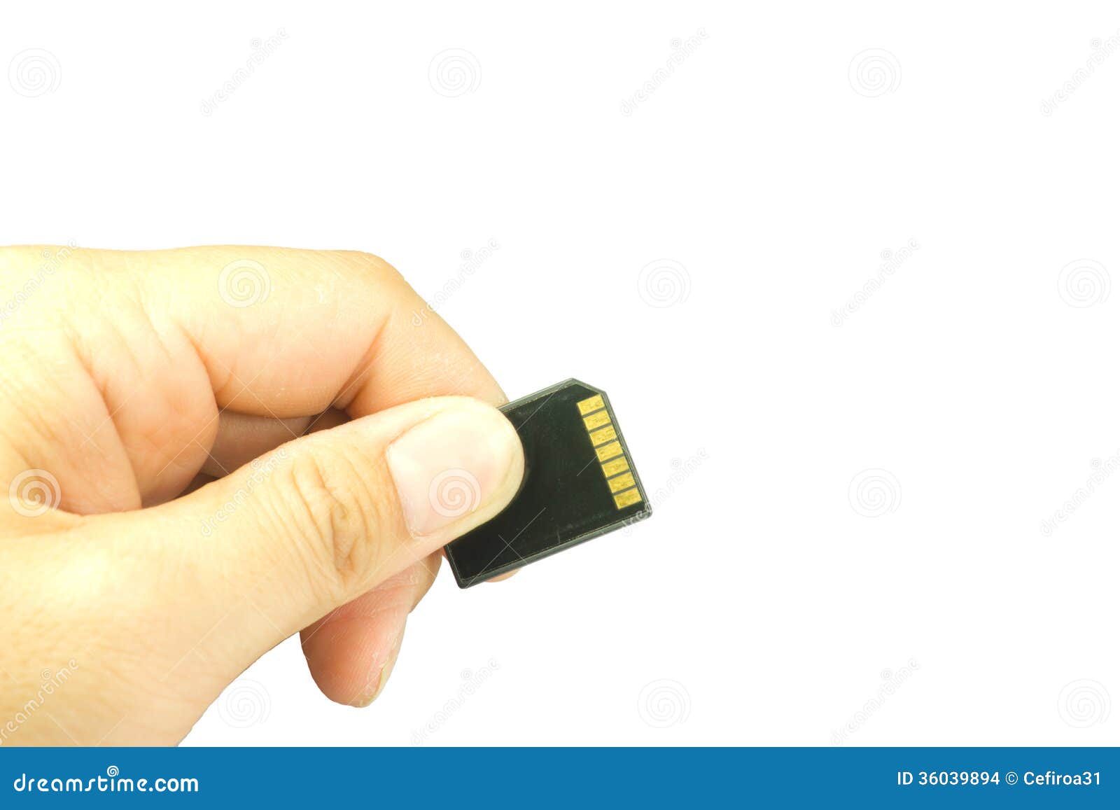 Hand Holding A Sd Memory Card Stock Photo Image of digital, disk