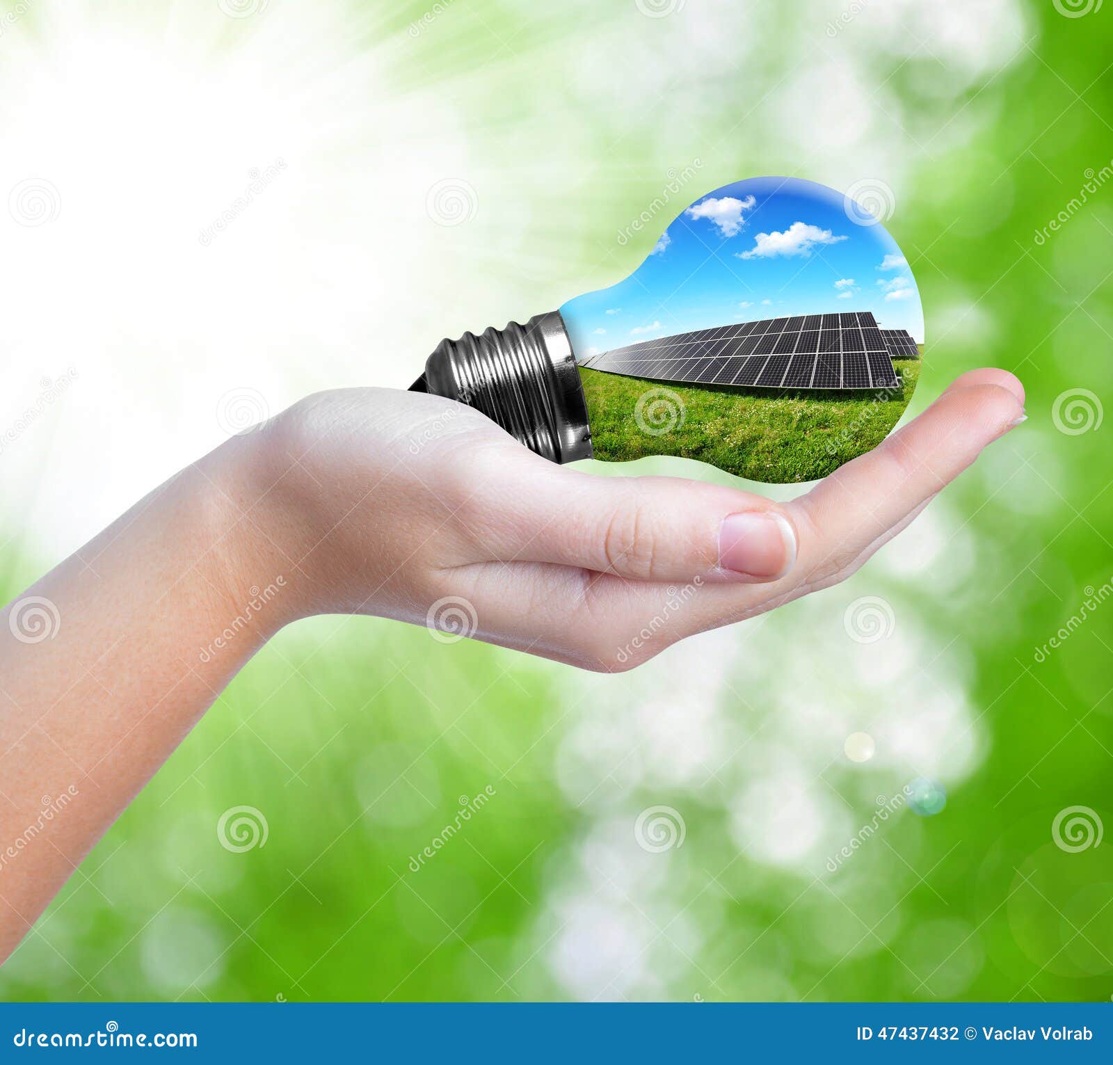 Hand Holding Solar Panels in Light Bulb Stock Photo Image of