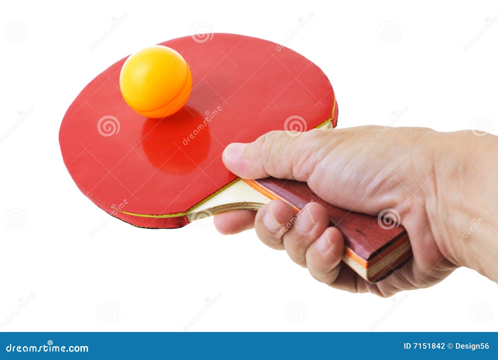 Hand Holding Table Tennis Bat Stock Photography Image 7151842