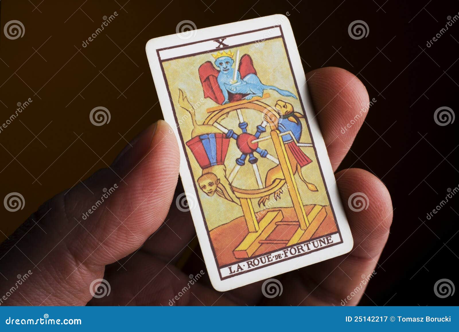 Hand Holding Tarot Card Royalty Free Stock Photography - Image: 251422171300 x 957