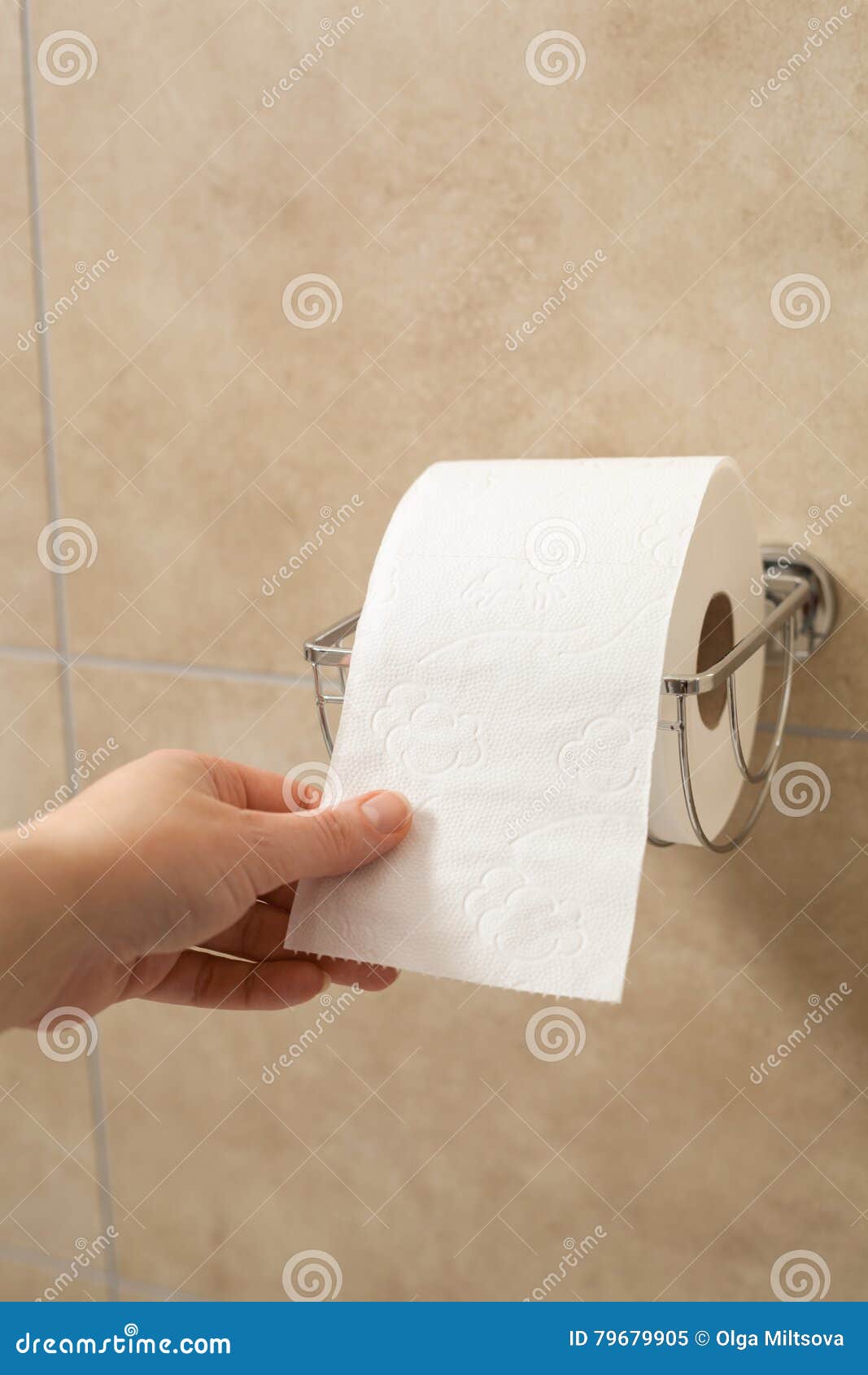 Hand Holding Toilet Paper Roll in Holder Stock Image Image of person