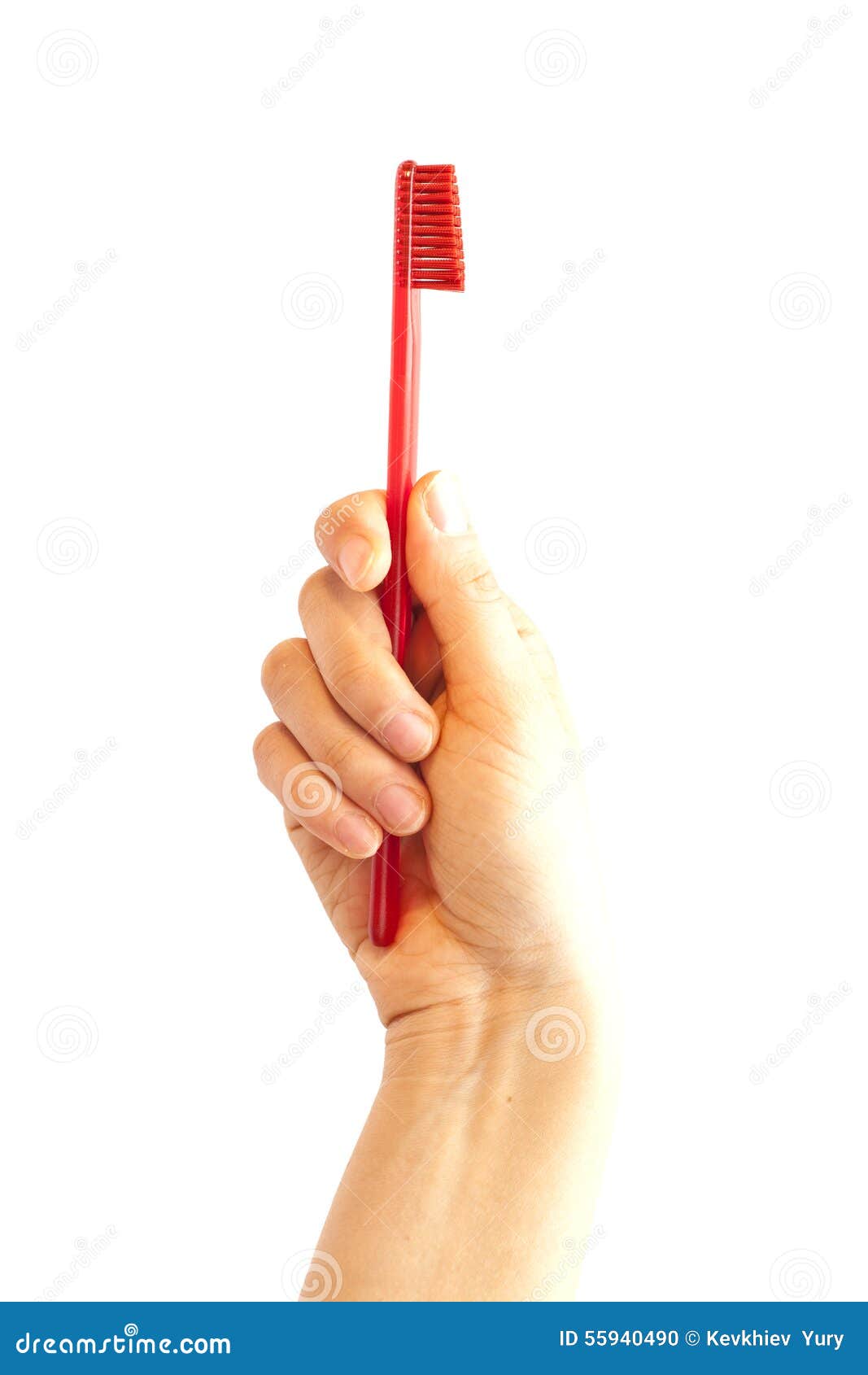Hand Holding Toothbrush Stock Photo Image 55940490