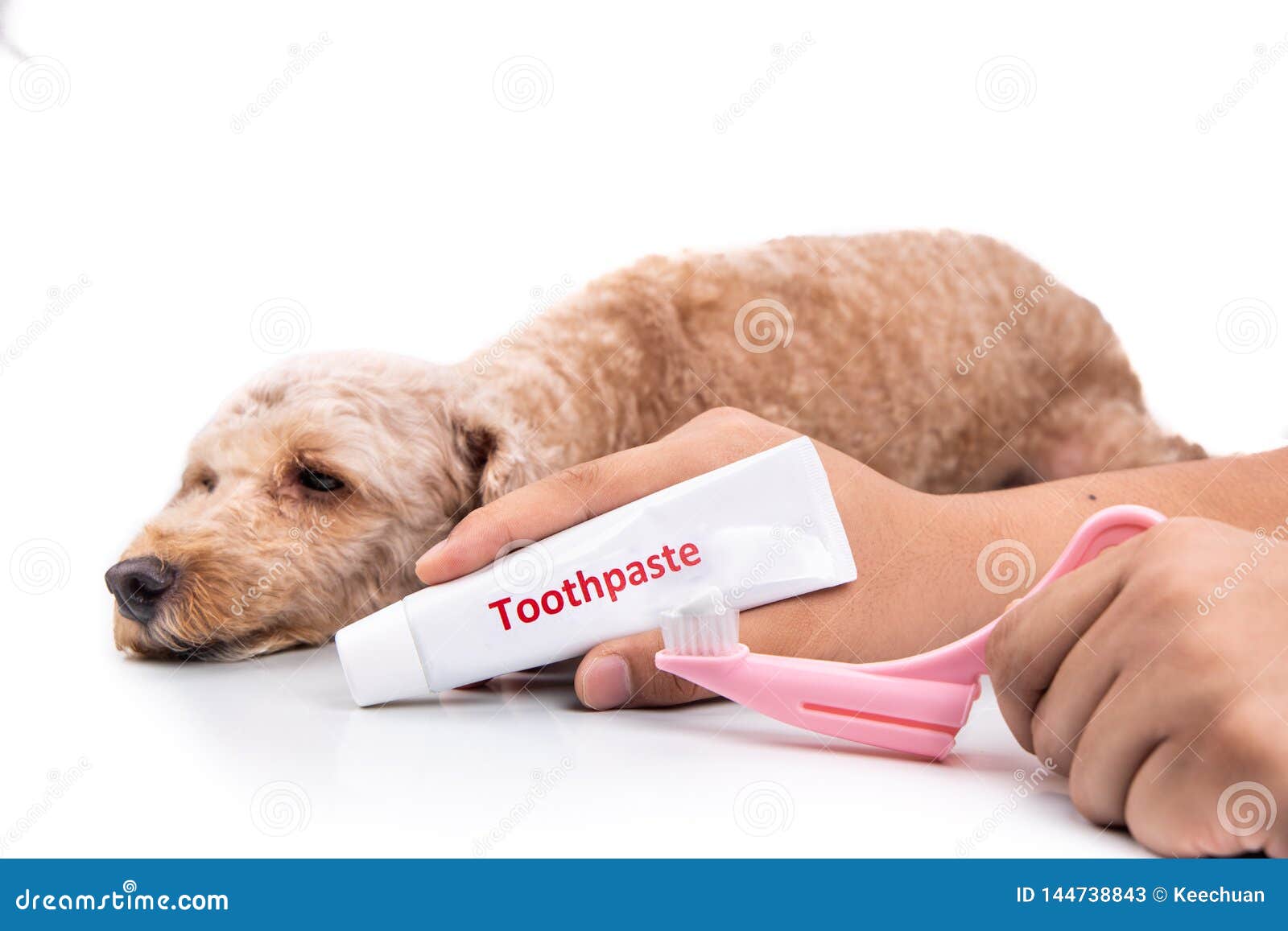 dog toothbrush toothpaste