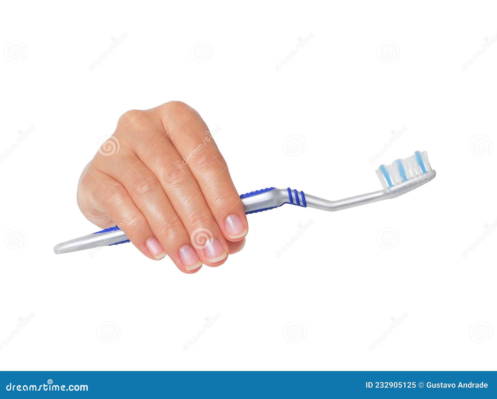 Hand Holding Toothbrush on White Stock Image Image of hold, single
