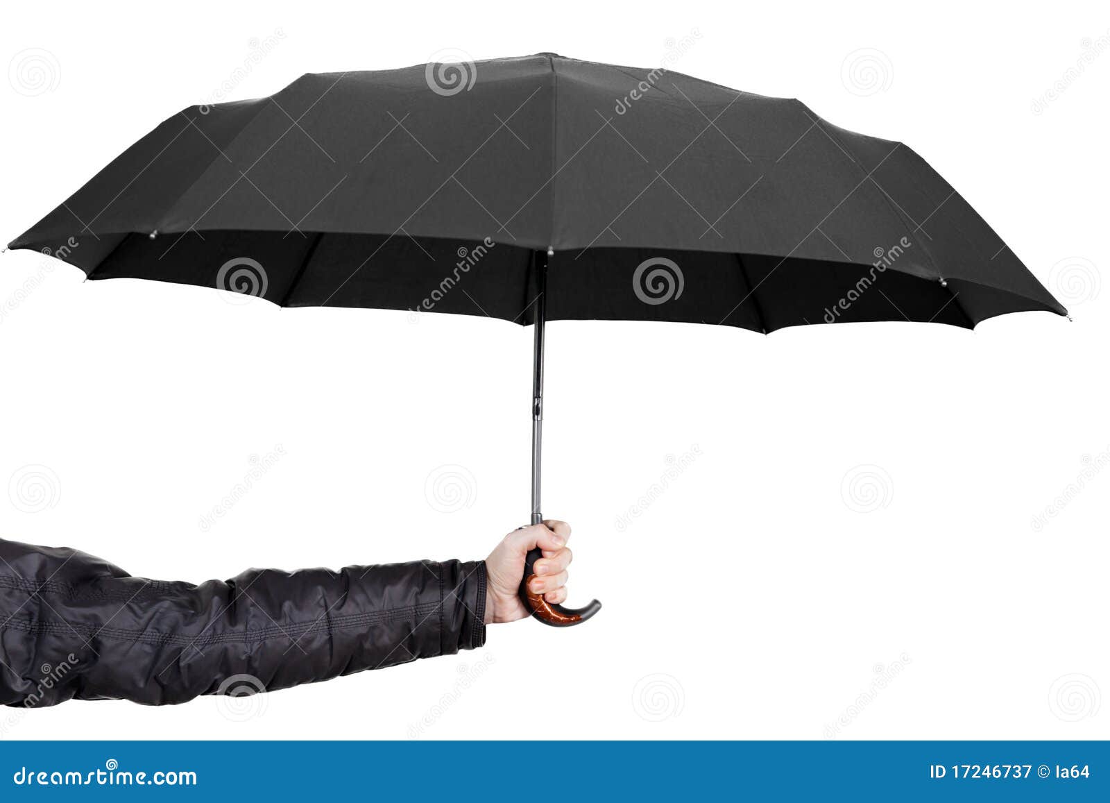 Hand holding umbrella stock image. Image of giving, concept 17246737
