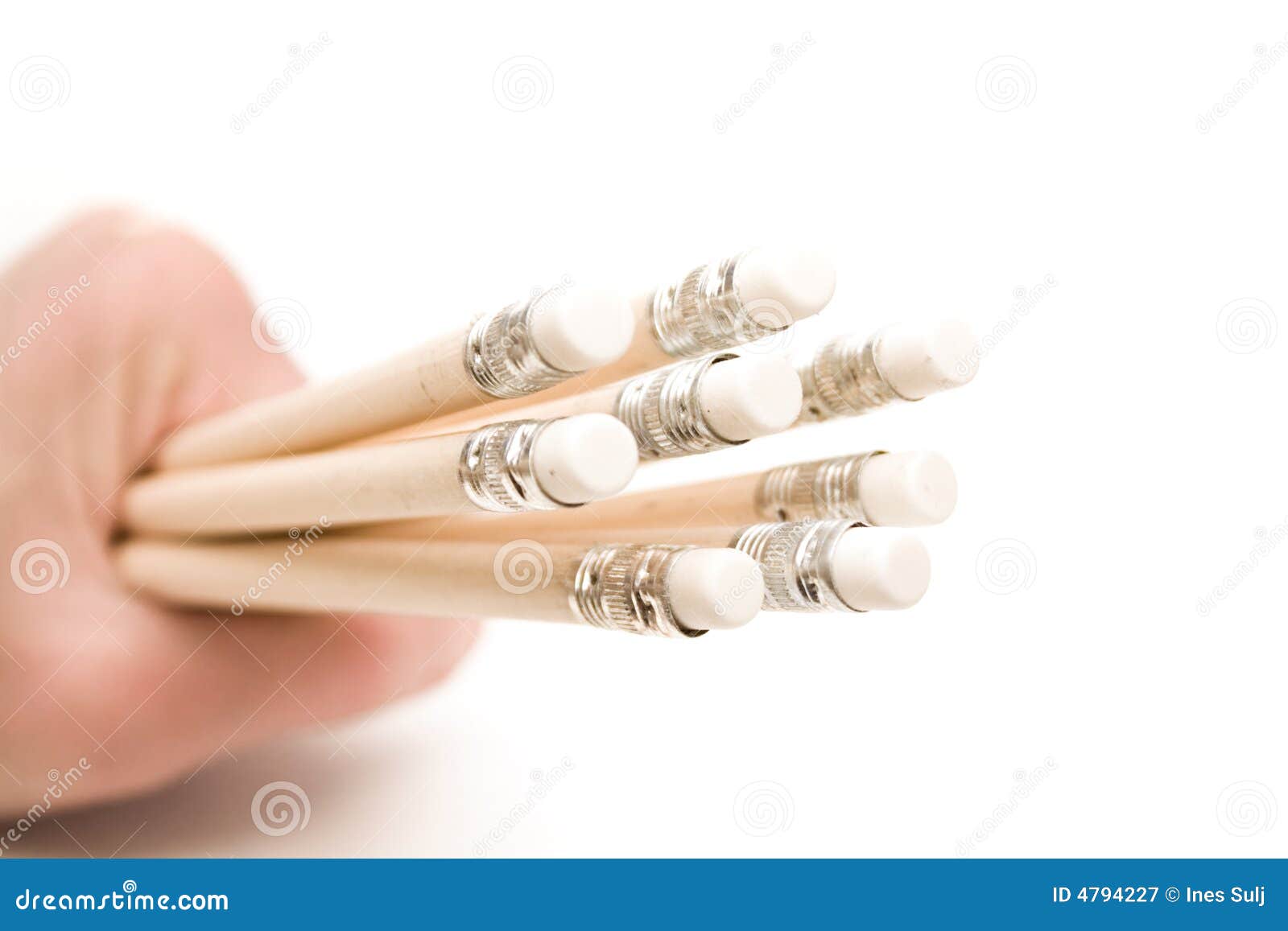 Hand Holding Wooden Pencils With Erasers Stock Image Image of