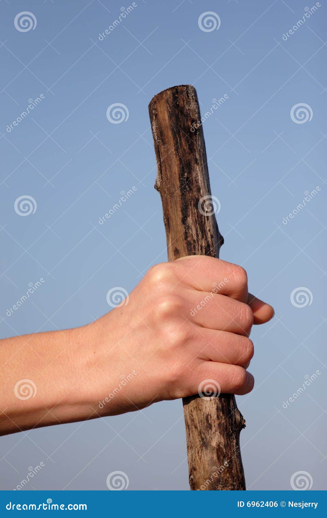 Hand holding wooden stick stock photo. Image of strong - 6962406