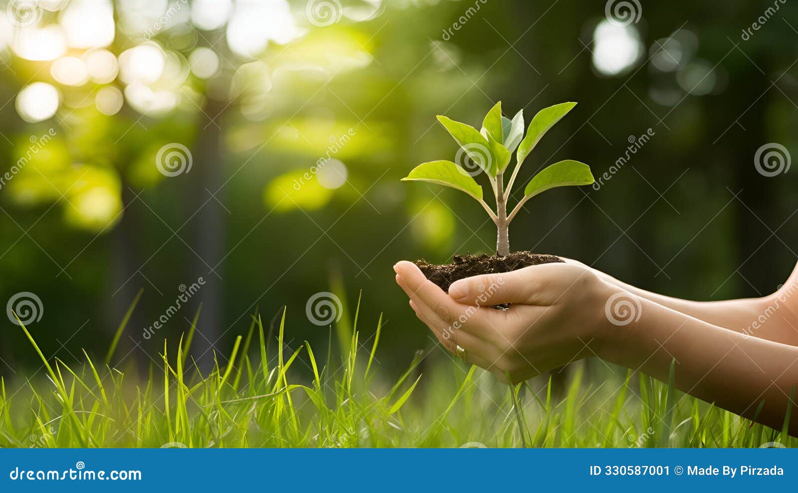 hand holding a young seedling in fresh soil, representing growth, sustainability, and environmental conservation efforts