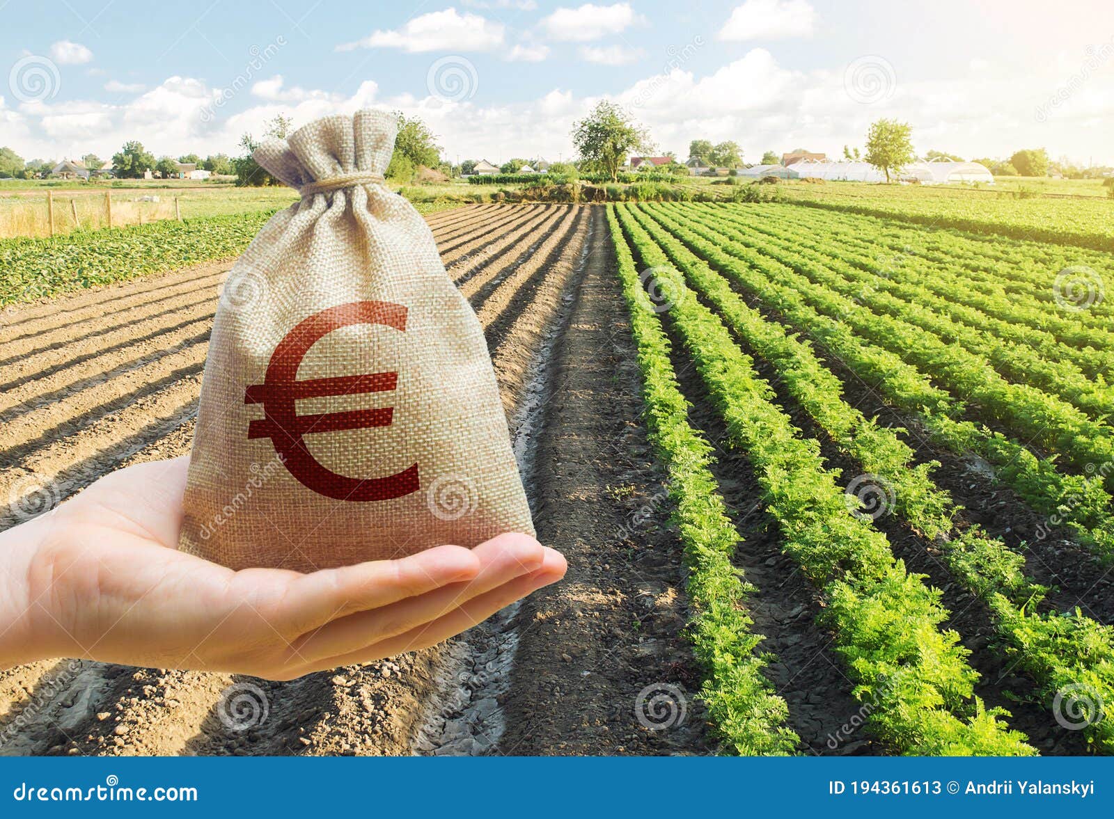 hand holds out a euro y bag on a background of a carrot plantation. support and subsidies. lending farmers for purchase land