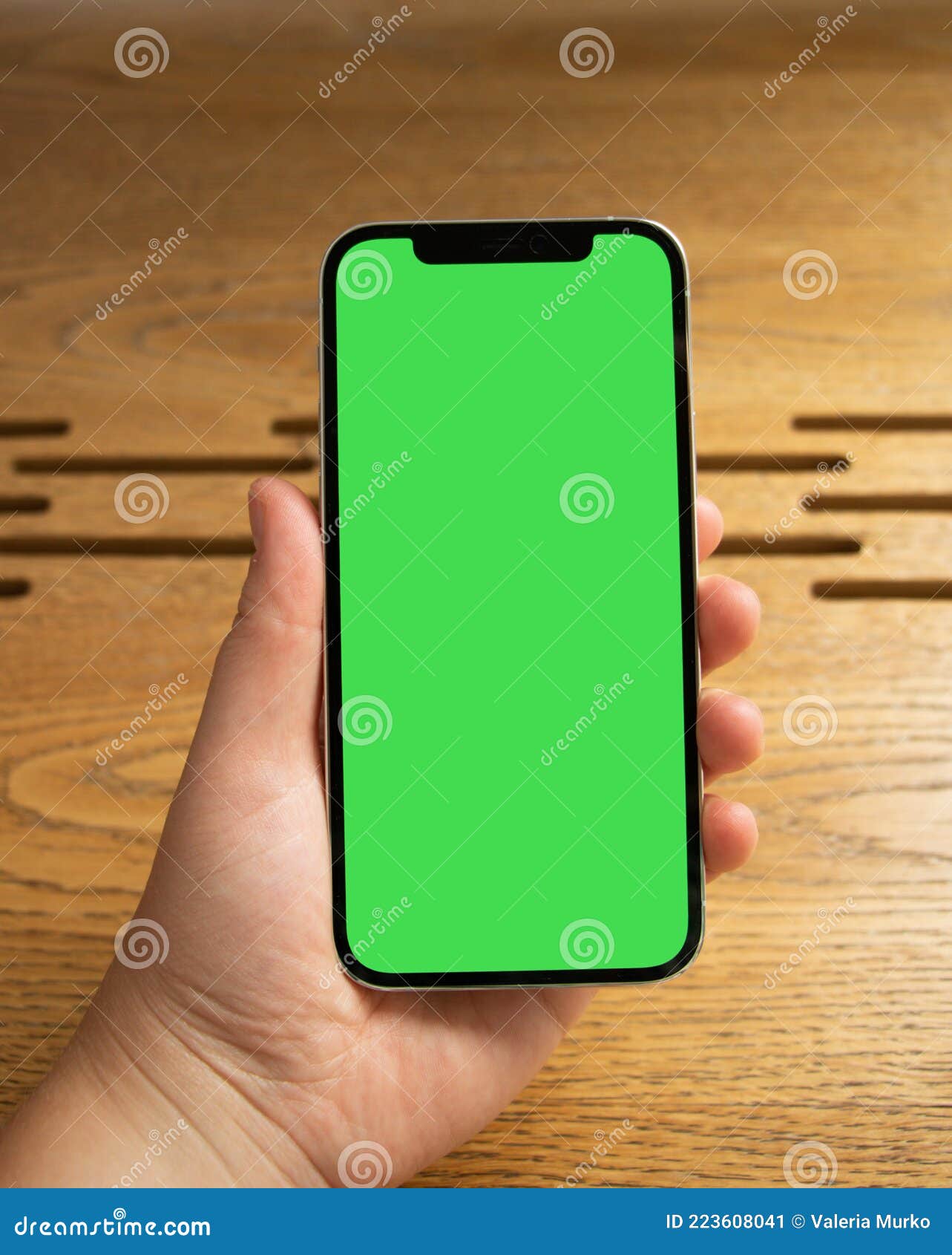 Hand Holds the Phone. Background. Green Screen. Mockup Phone. Smartphone in  Hand Stock Image - Image of information, electronic: 223608041
