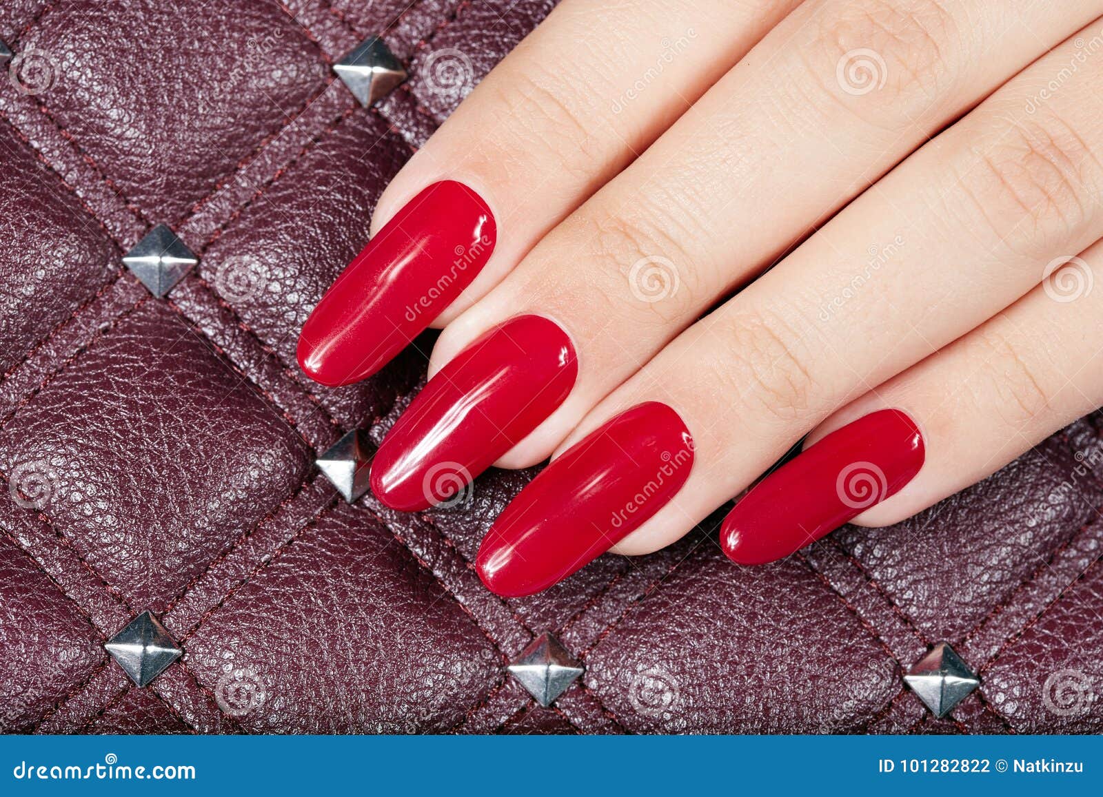 Hand with Long Artificial Manicured Nails Stock Photo Image of