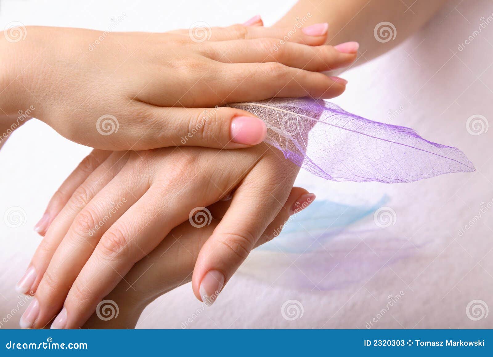 Hand Massage Stock Image Image Of Hand Massaging Gentle 2320303