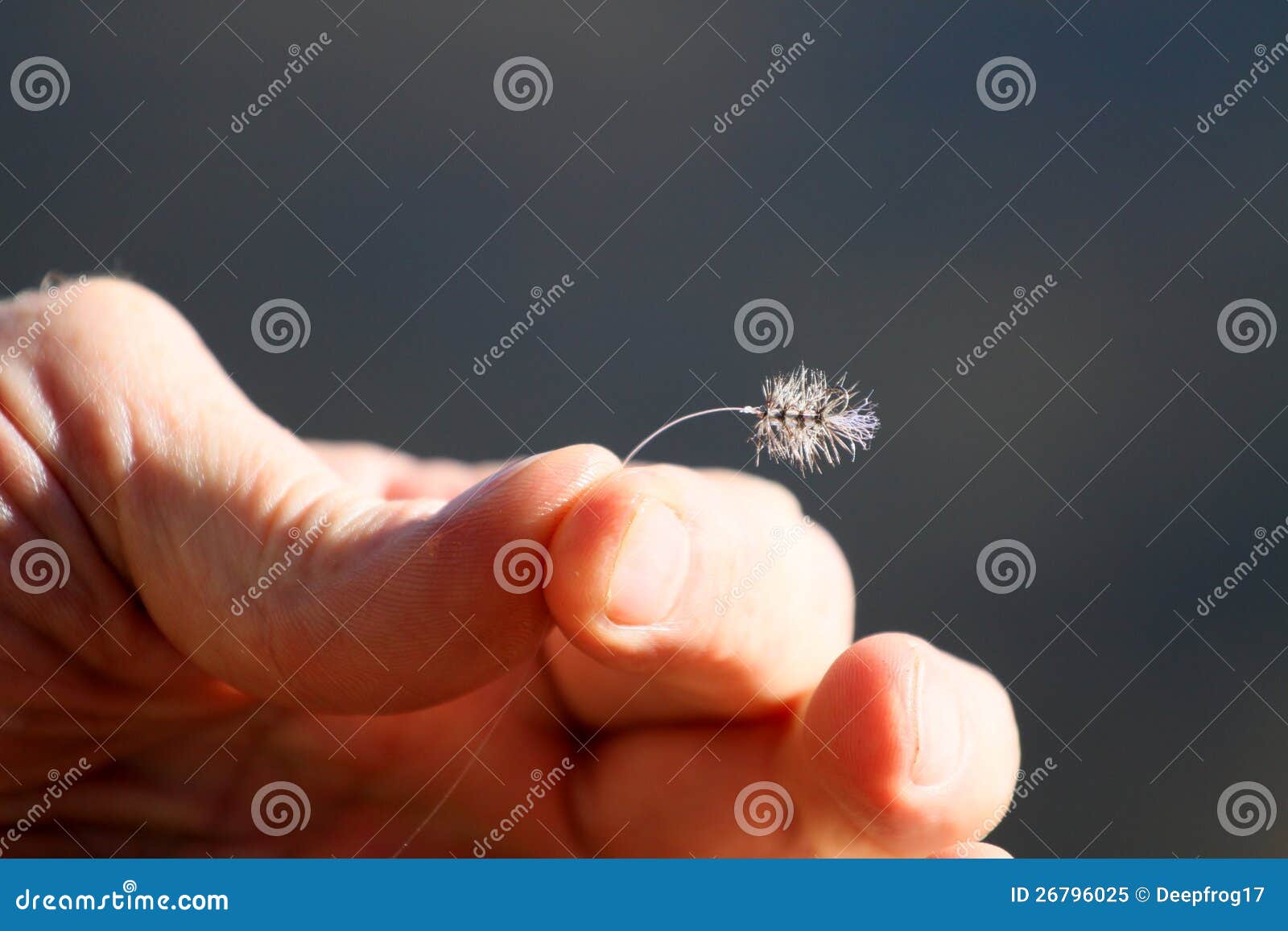 Makroansicht der Hand mit Fliegenfischereihaken.