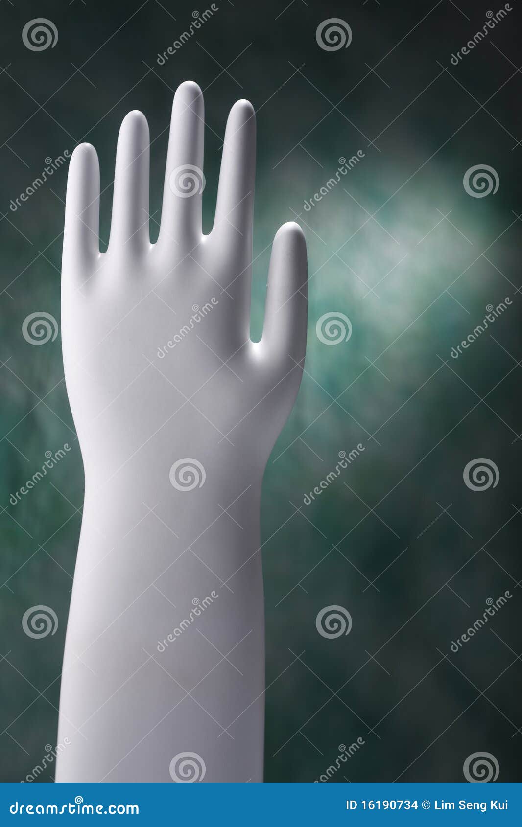 Hand mold stock photo. Image of mannequin, background 16190734